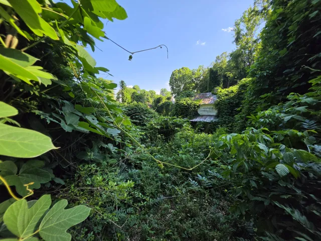 1120 Douglas AVE, Martinsville, VA, 24112