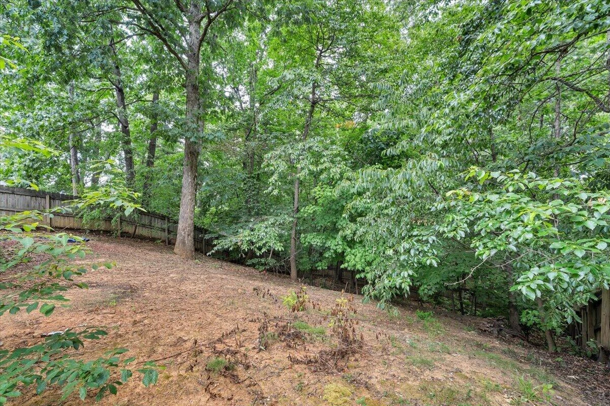 251 Buckingham CT - Photo 55