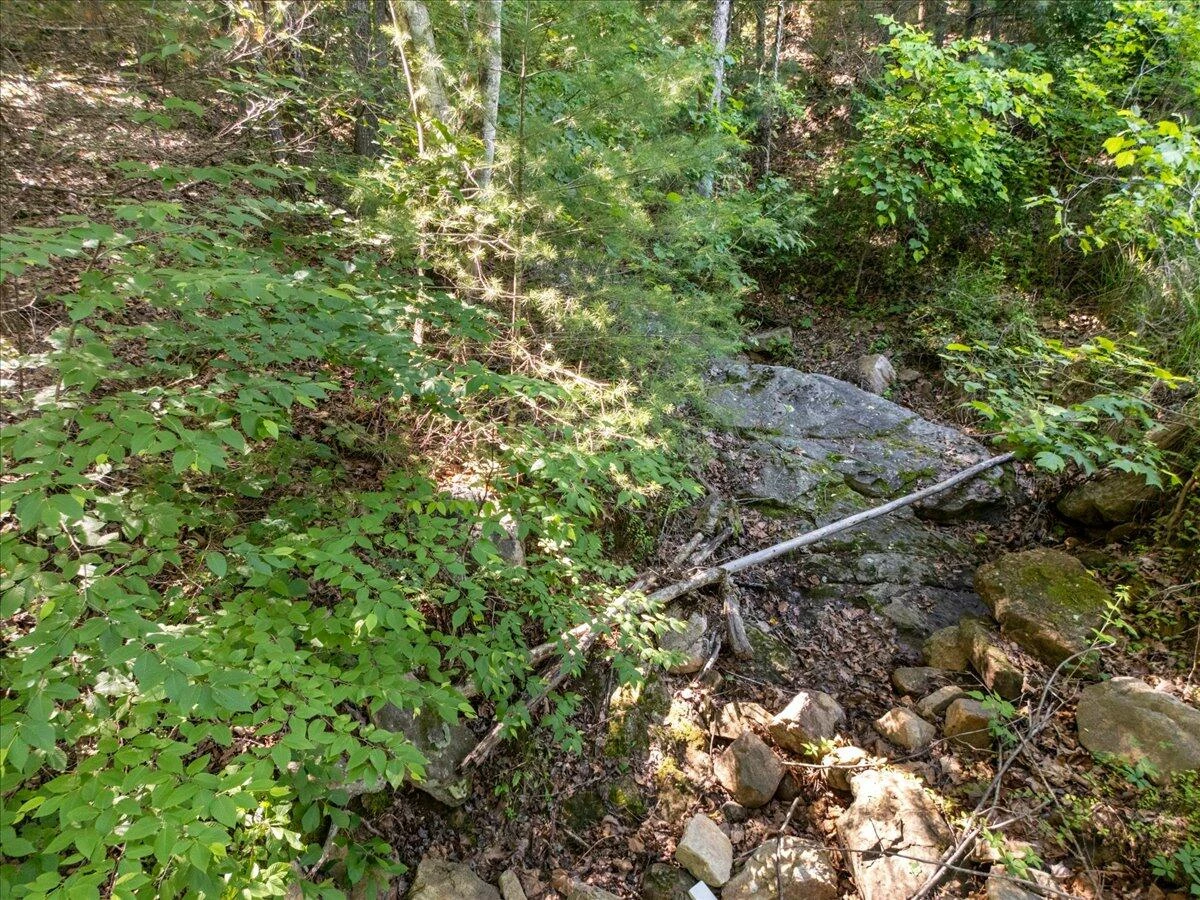 56 Craig Woods RD - Photo 50