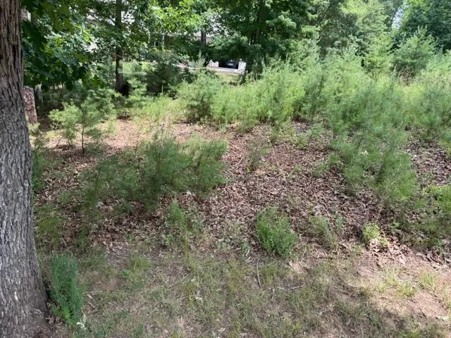 Lot 37 Waterview CT, Gretna, VA, 24557