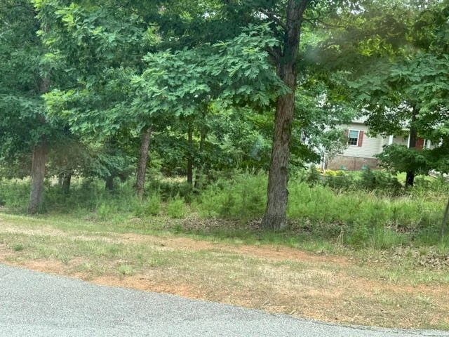 Lot 37 Waterview CT - Photo 6