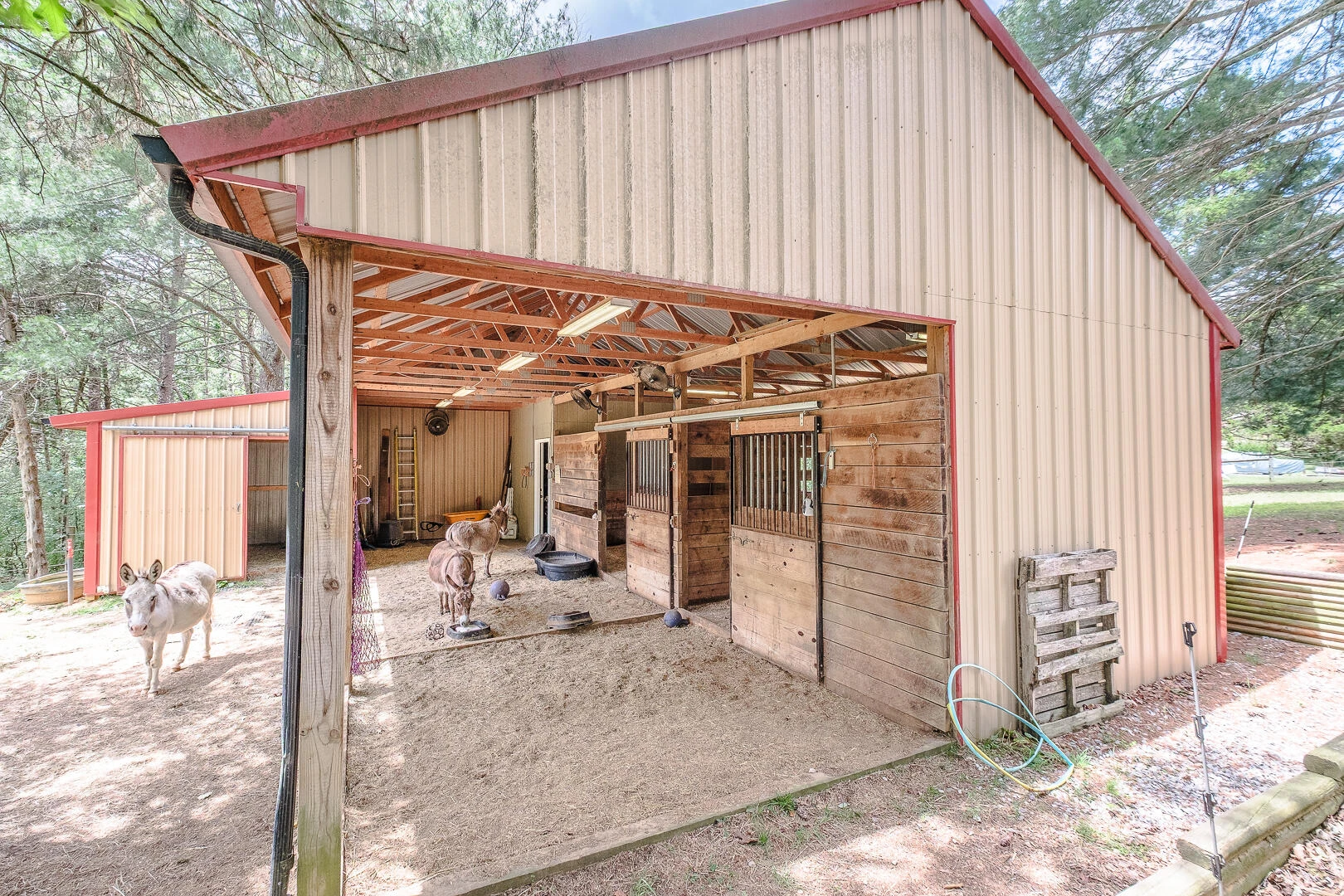 815 Brunswick Forge RD - Photo 47
