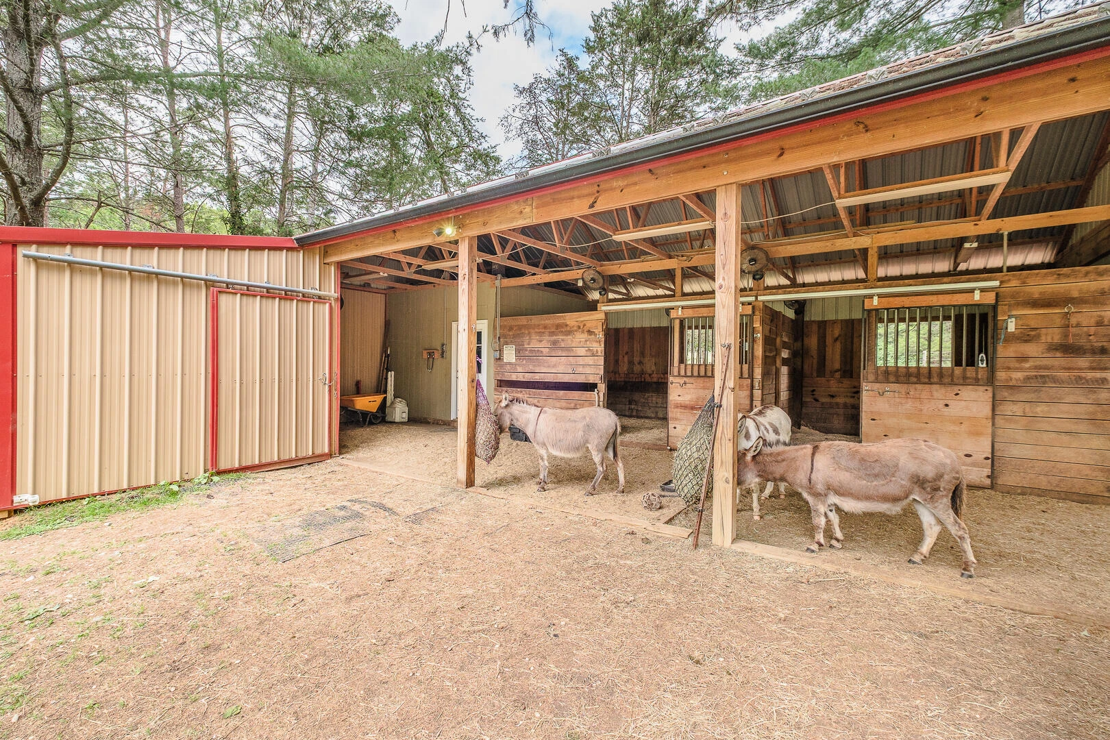 815 Brunswick Forge RD - Photo 52