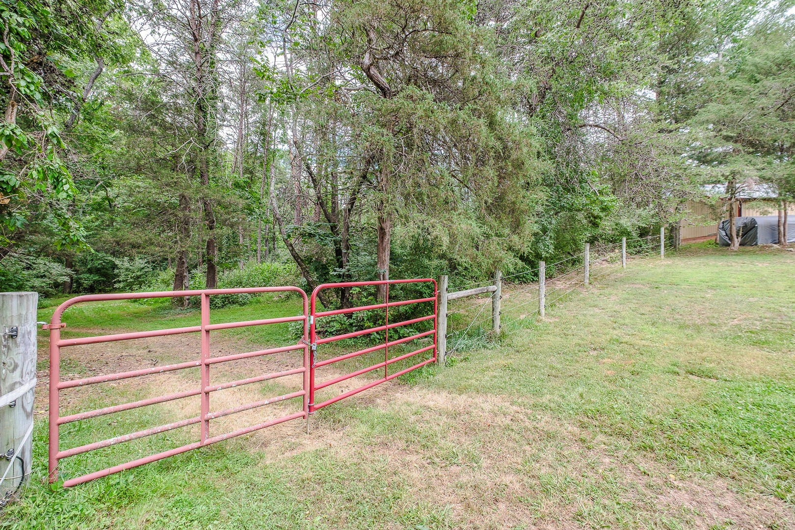 815 Brunswick Forge RD - Photo 53