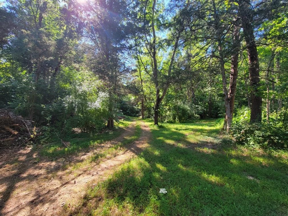 815 Brunswick Forge RD - Photo 67