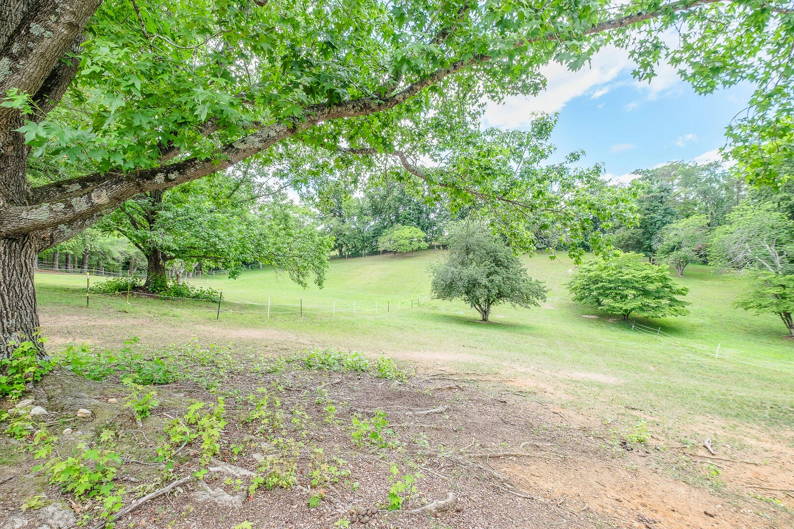 815 Brunswick Forge RD - Photo 9