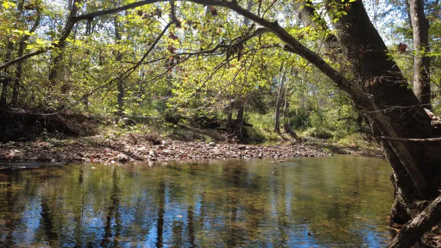 0000 Potts Creek RD, Covington, VA, 24426