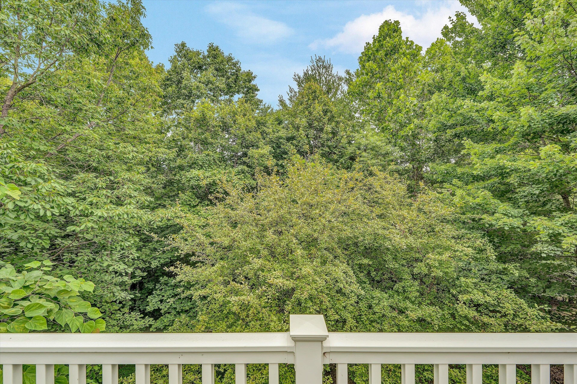 131 STONEY MILL RD - Photo 37