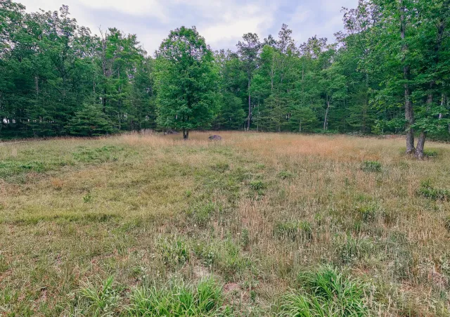 0 Johns Creek Mountain RD, New Castle, VA, 24127