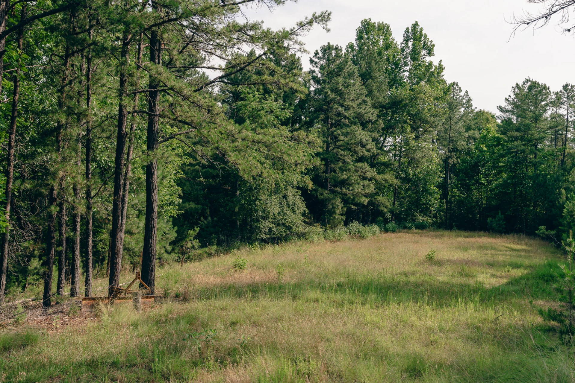 0 Sugar Tree Hollow RD - Photo 10