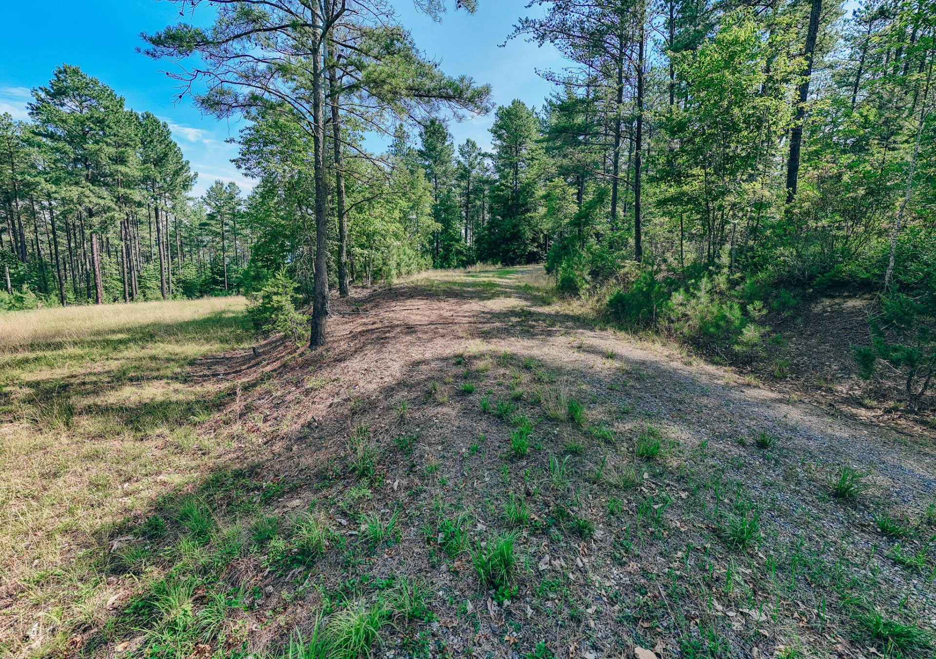 0 Sugar Tree Hollow RD - Photo 17