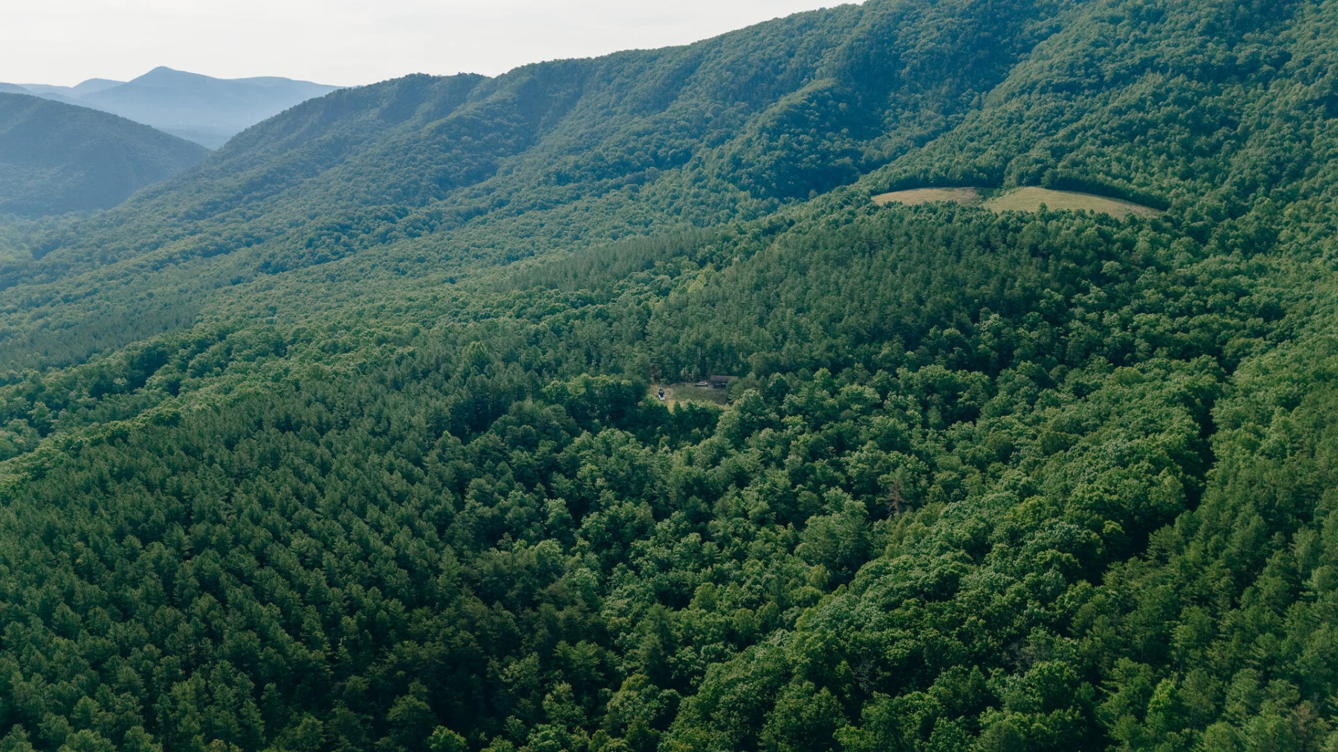 0 Sugar Tree Hollow RD - Photo 3