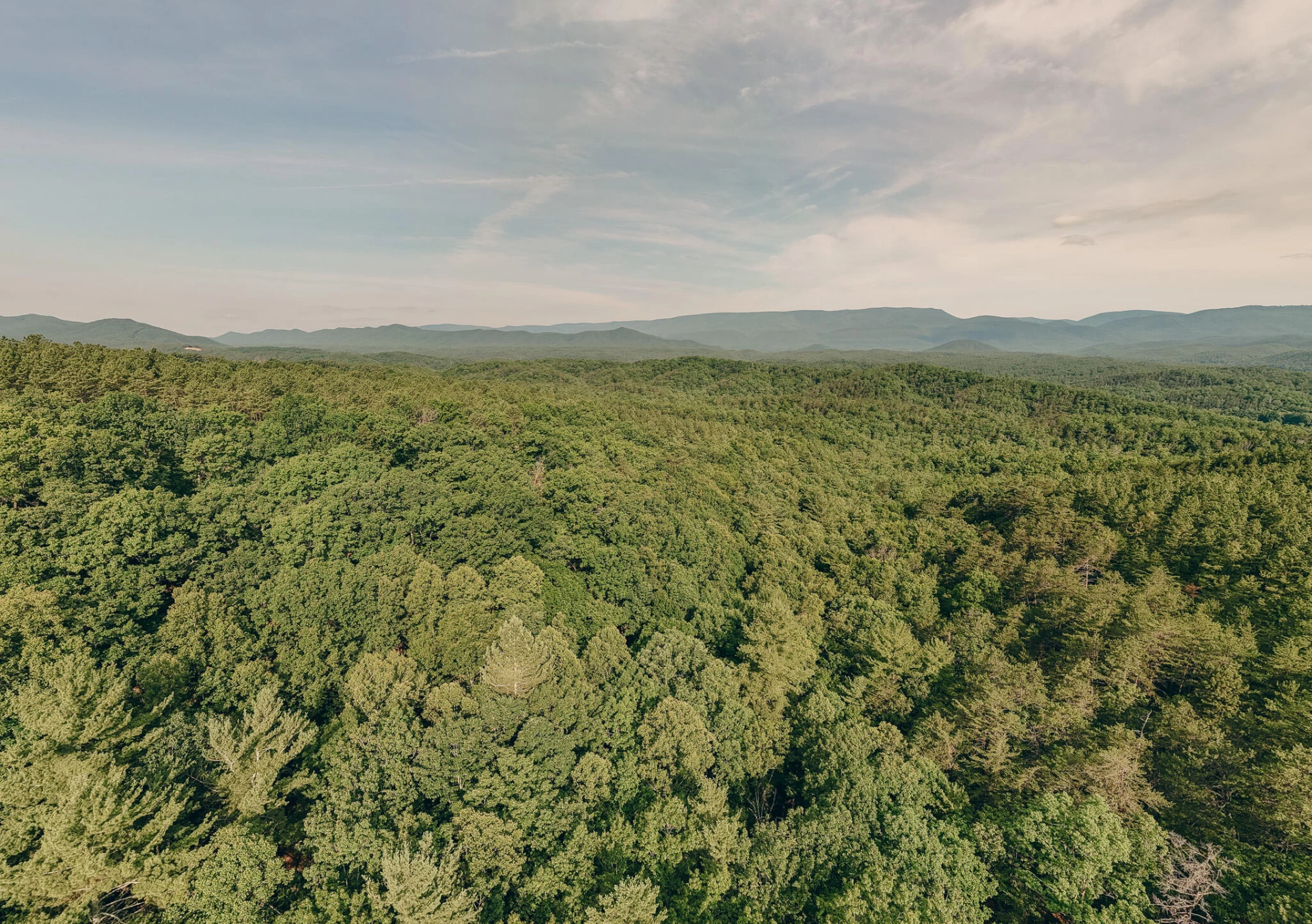 0 Sugar Tree Hollow RD - Photo 5