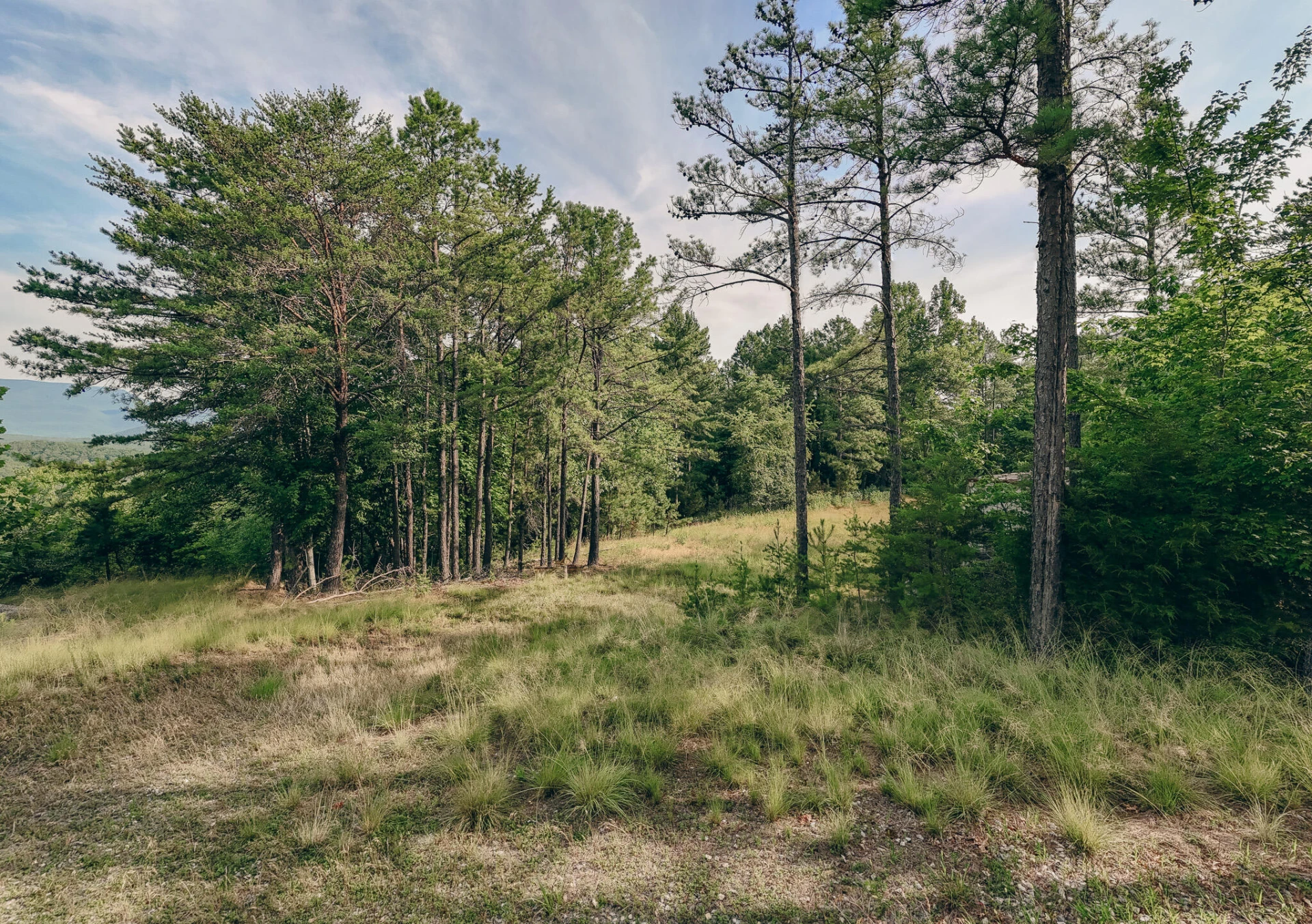 0 Sugar Tree Hollow RD - Photo 6