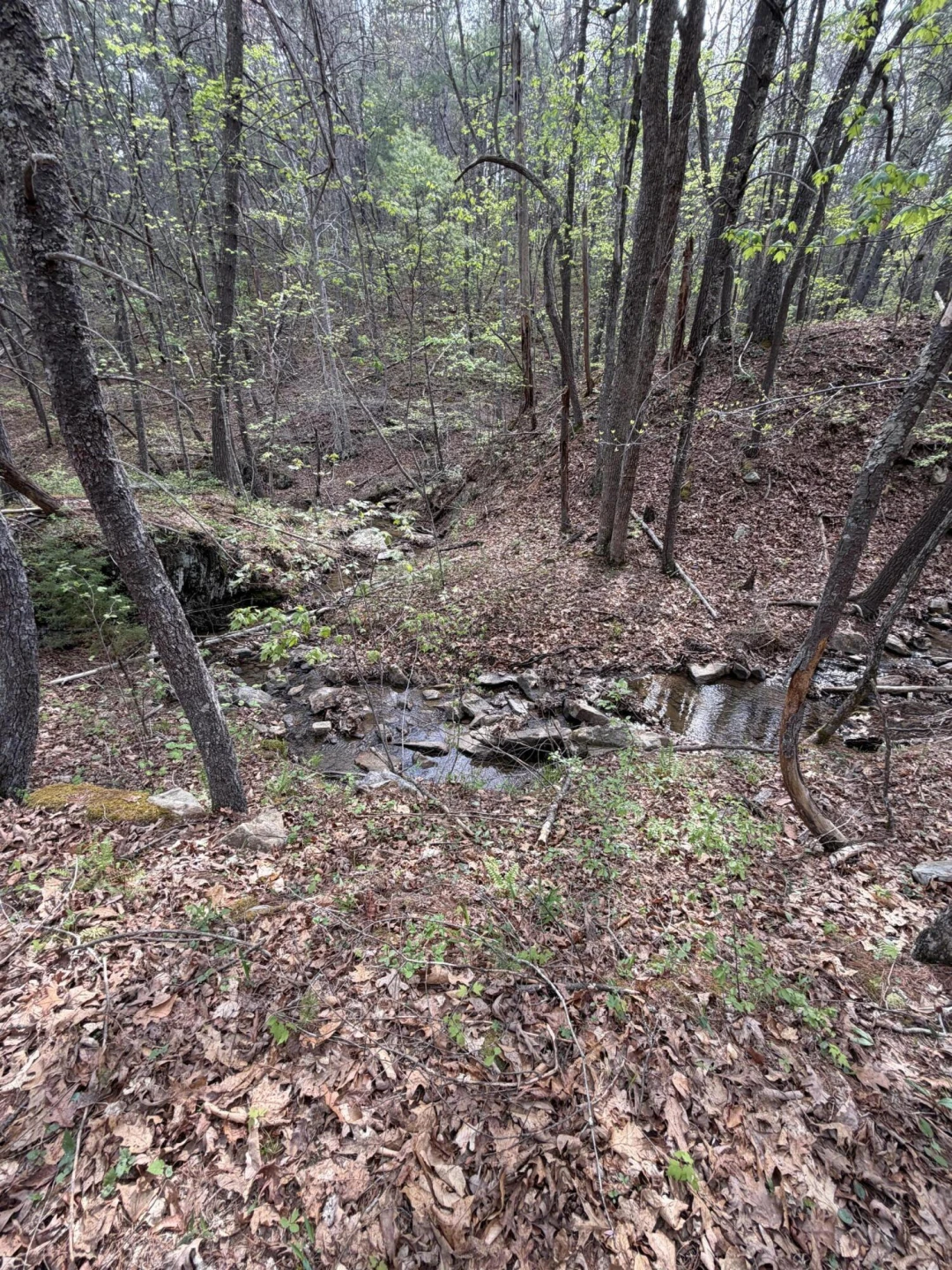 0 Sugar Tree Hollow RD - Photo 7
