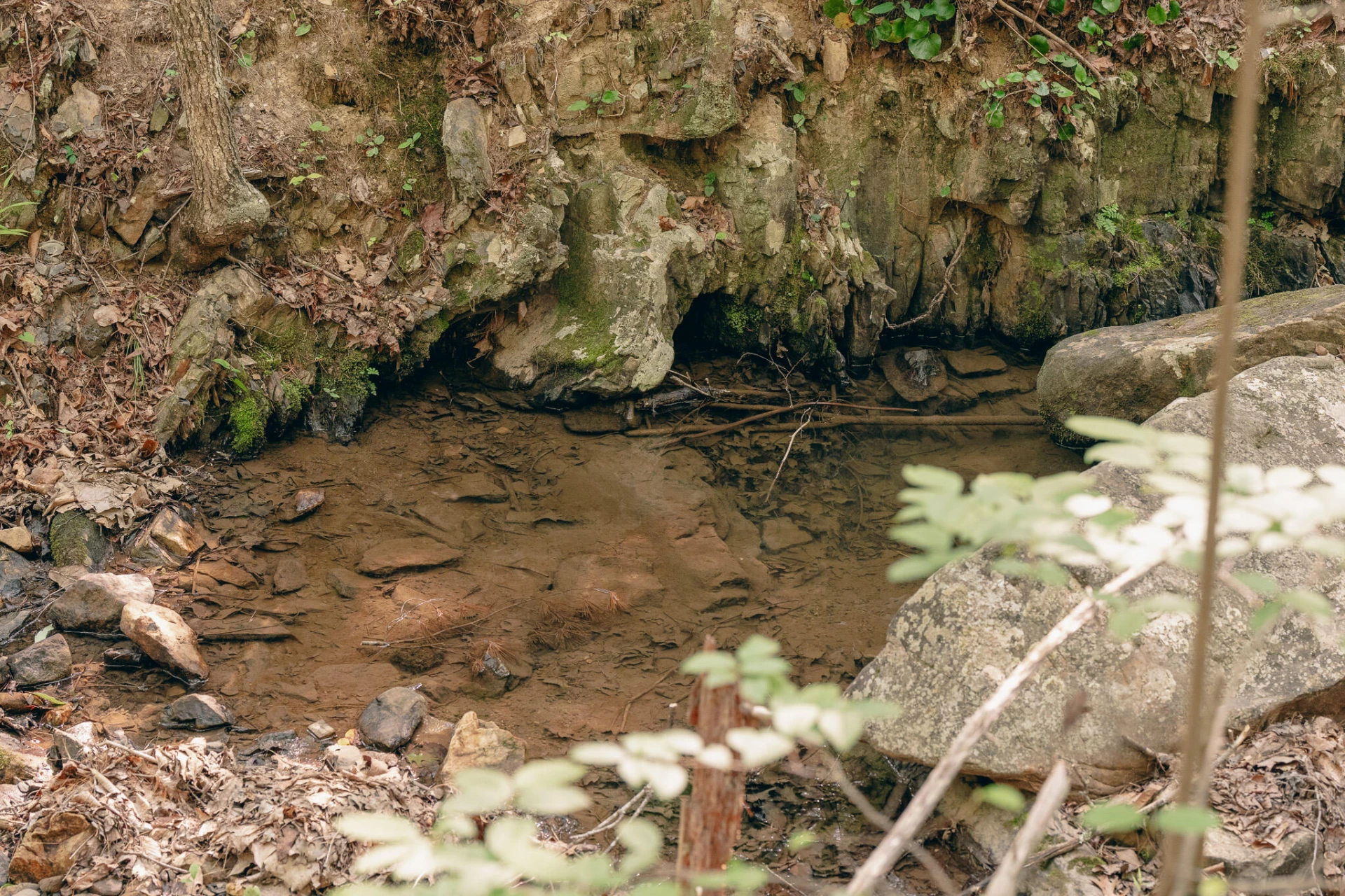 0 Sugar Tree Hollow RD - Photo 8