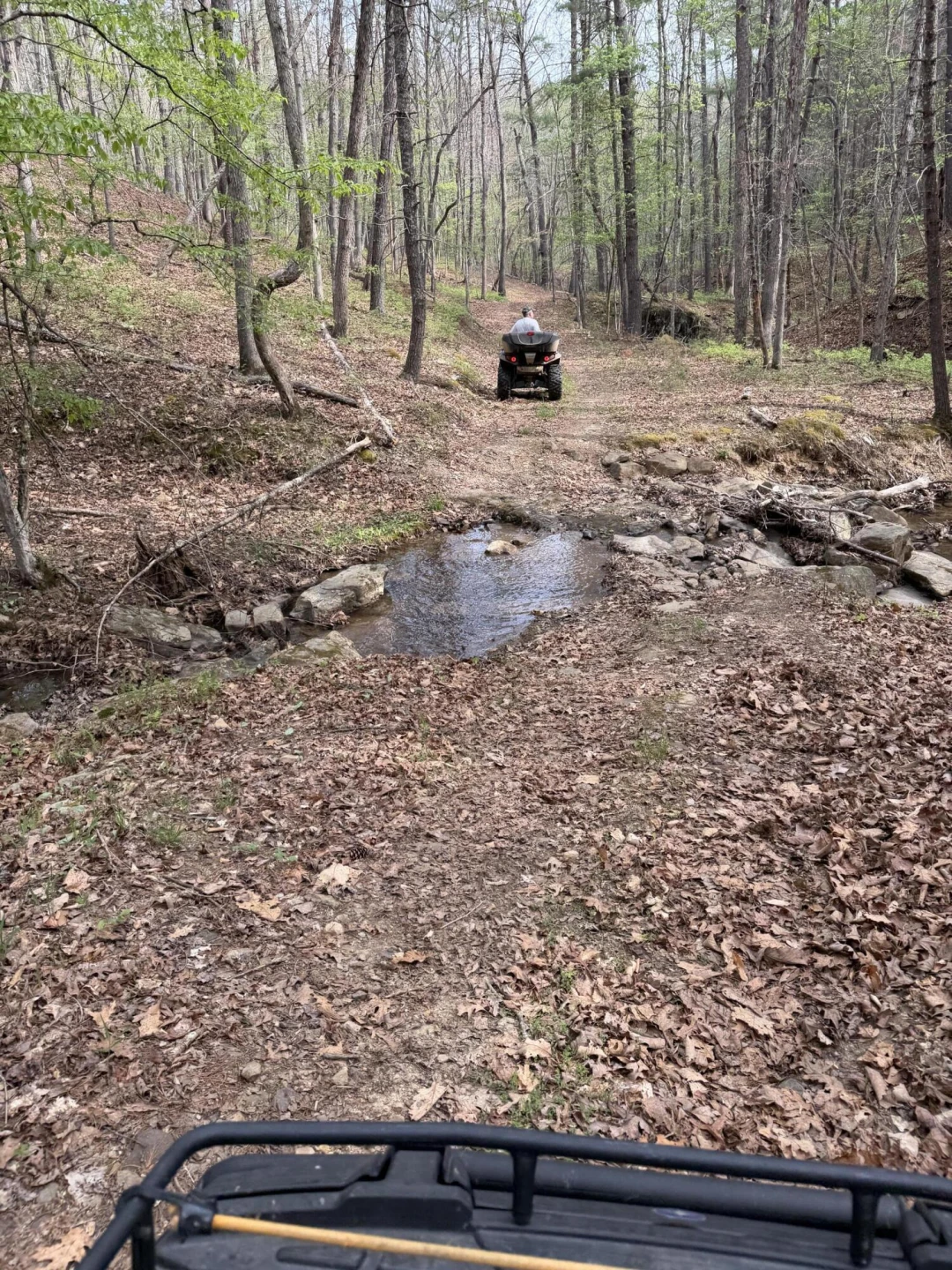 0 Sugar Tree Hollow RD - Photo 9