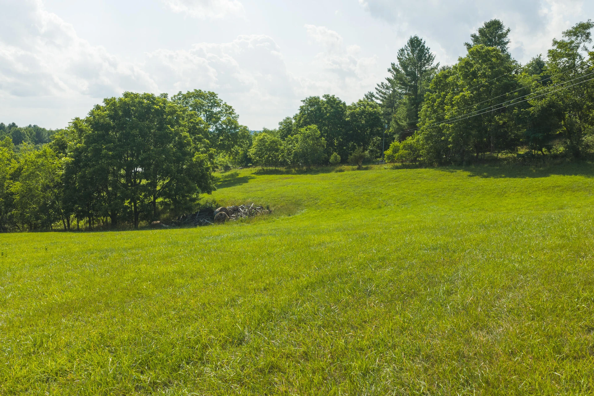 Lot 1 Brush Creek RD - Photo 11