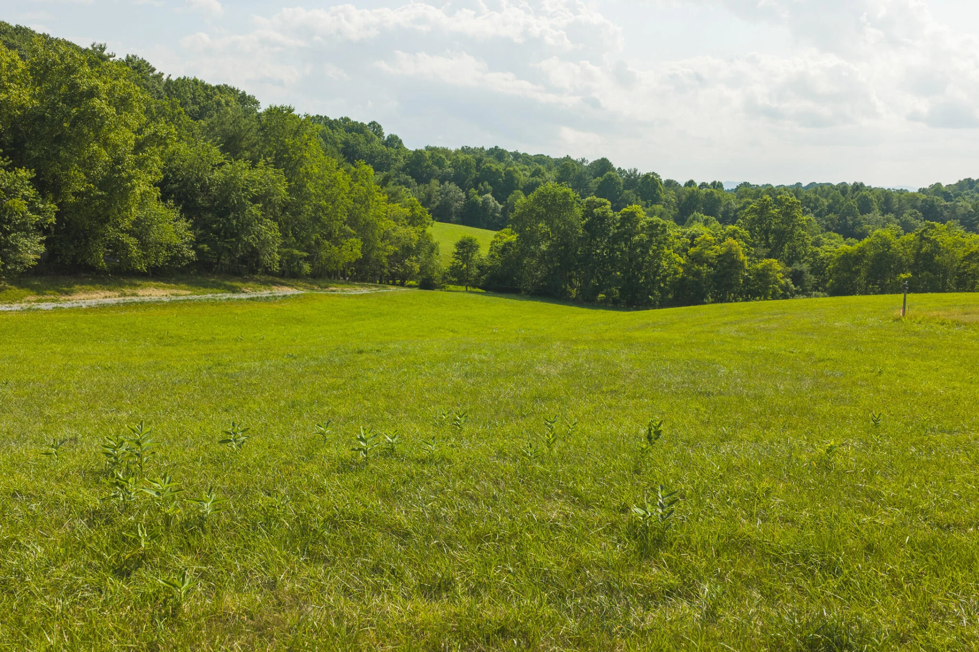 Lot 1 Brush Creek RD - Photo 14