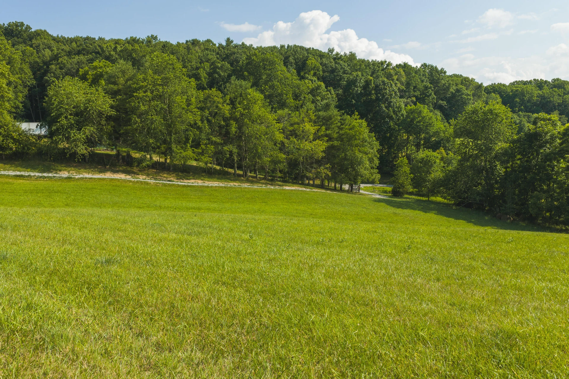 Lot 1 Brush Creek RD - Photo 15