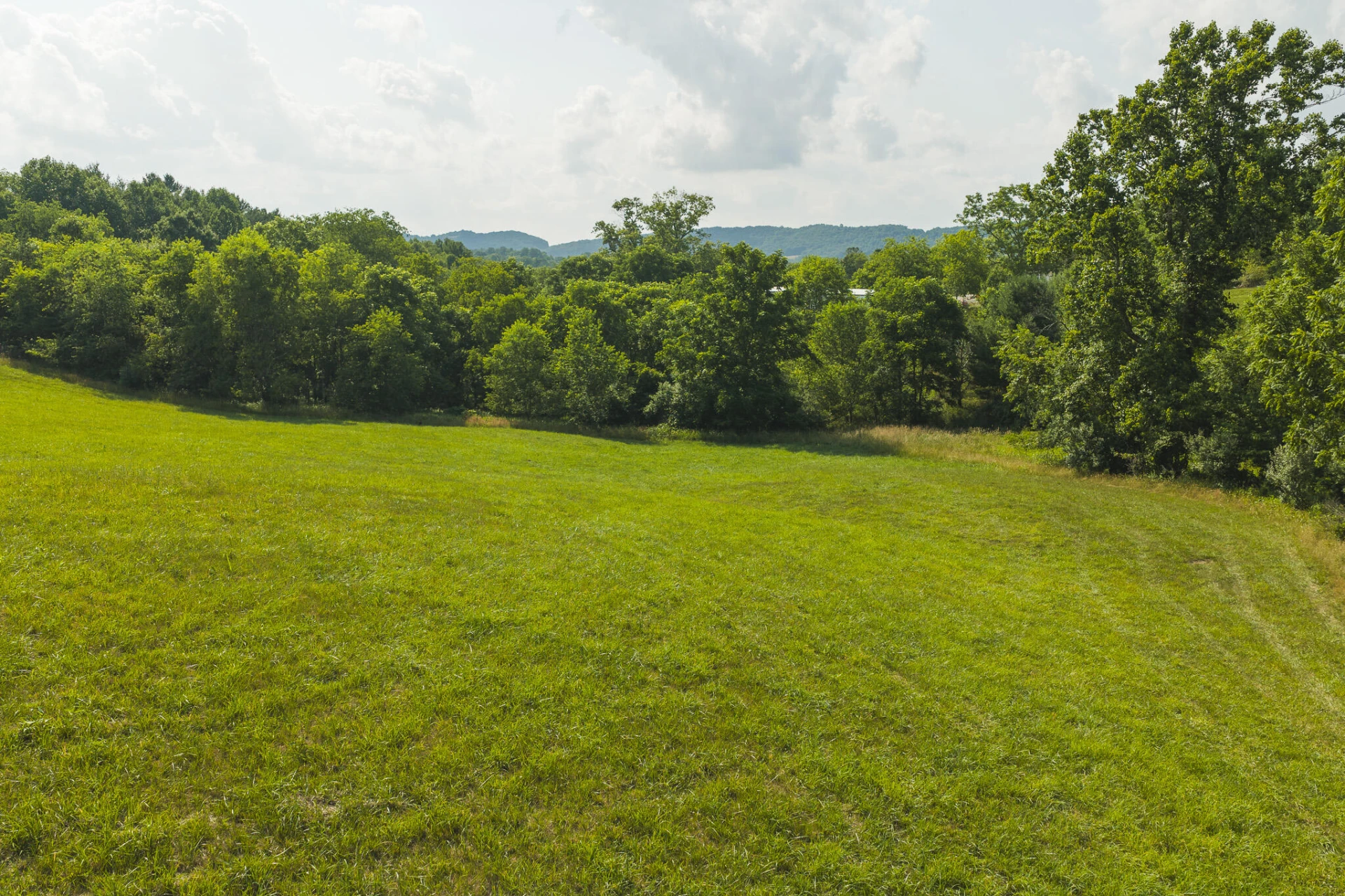 Lot 2 Brush Creek RD - Photo 11