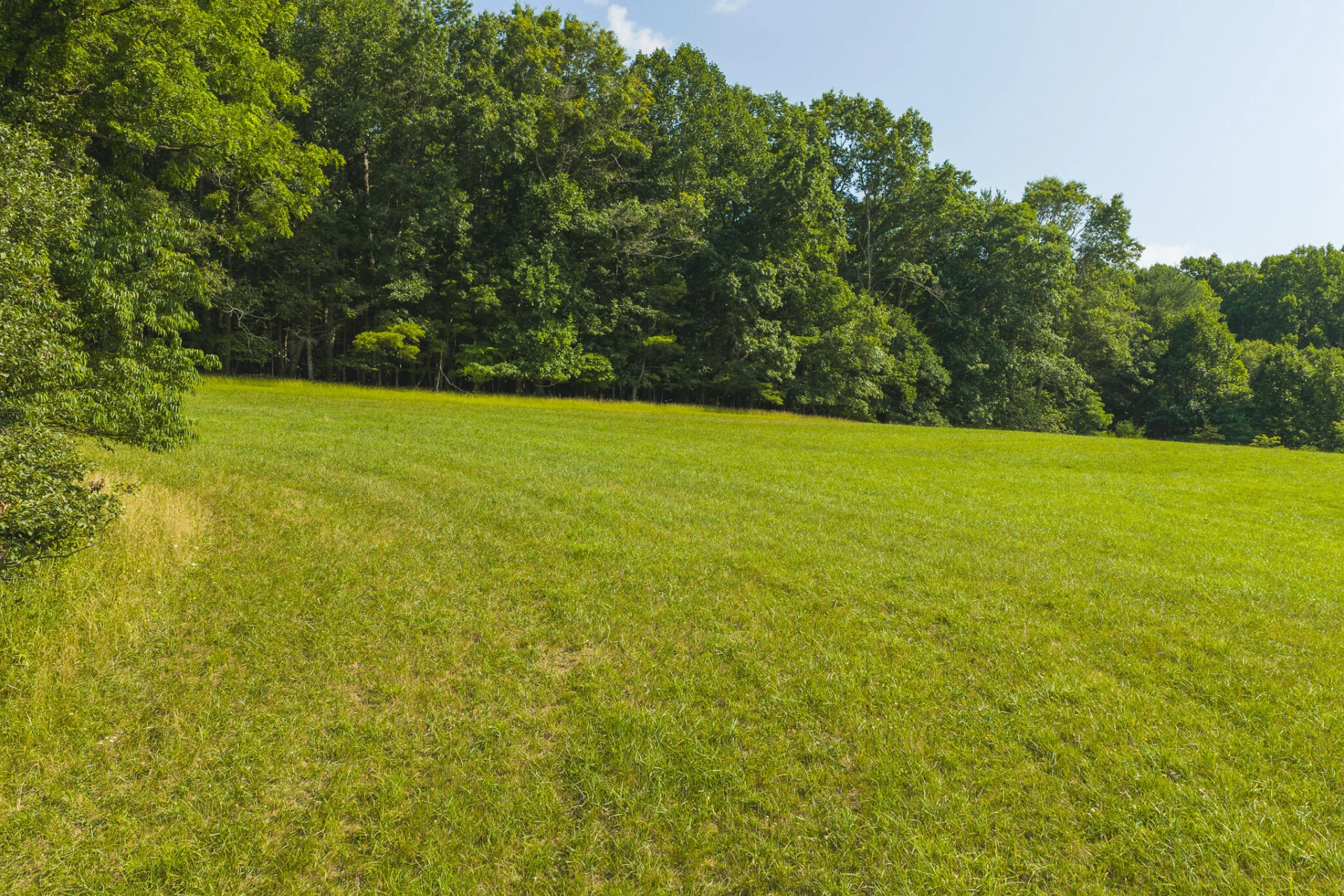 Lot 2 Brush Creek RD - Photo 16