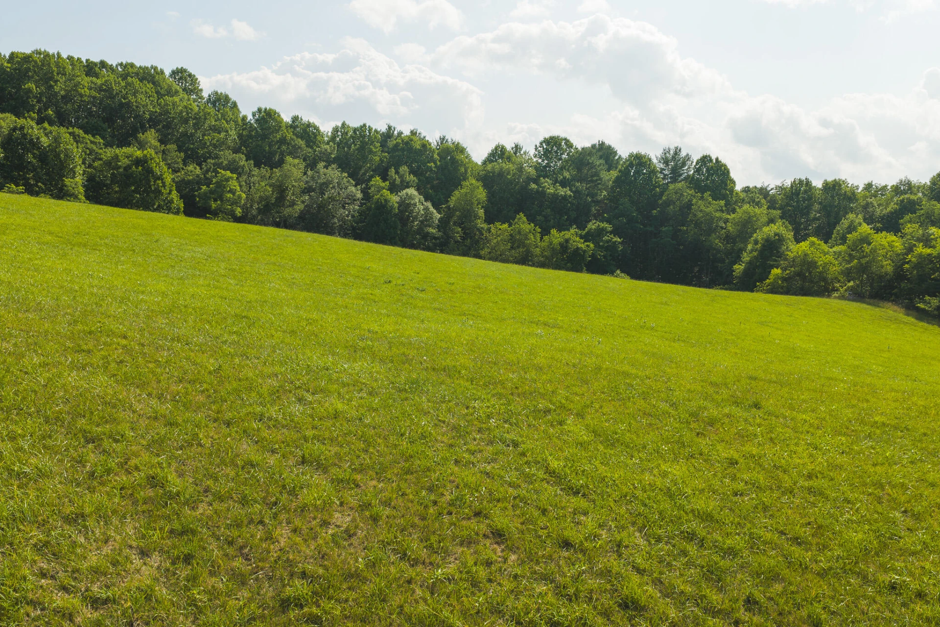 Lot 2 Brush Creek RD - Photo 18