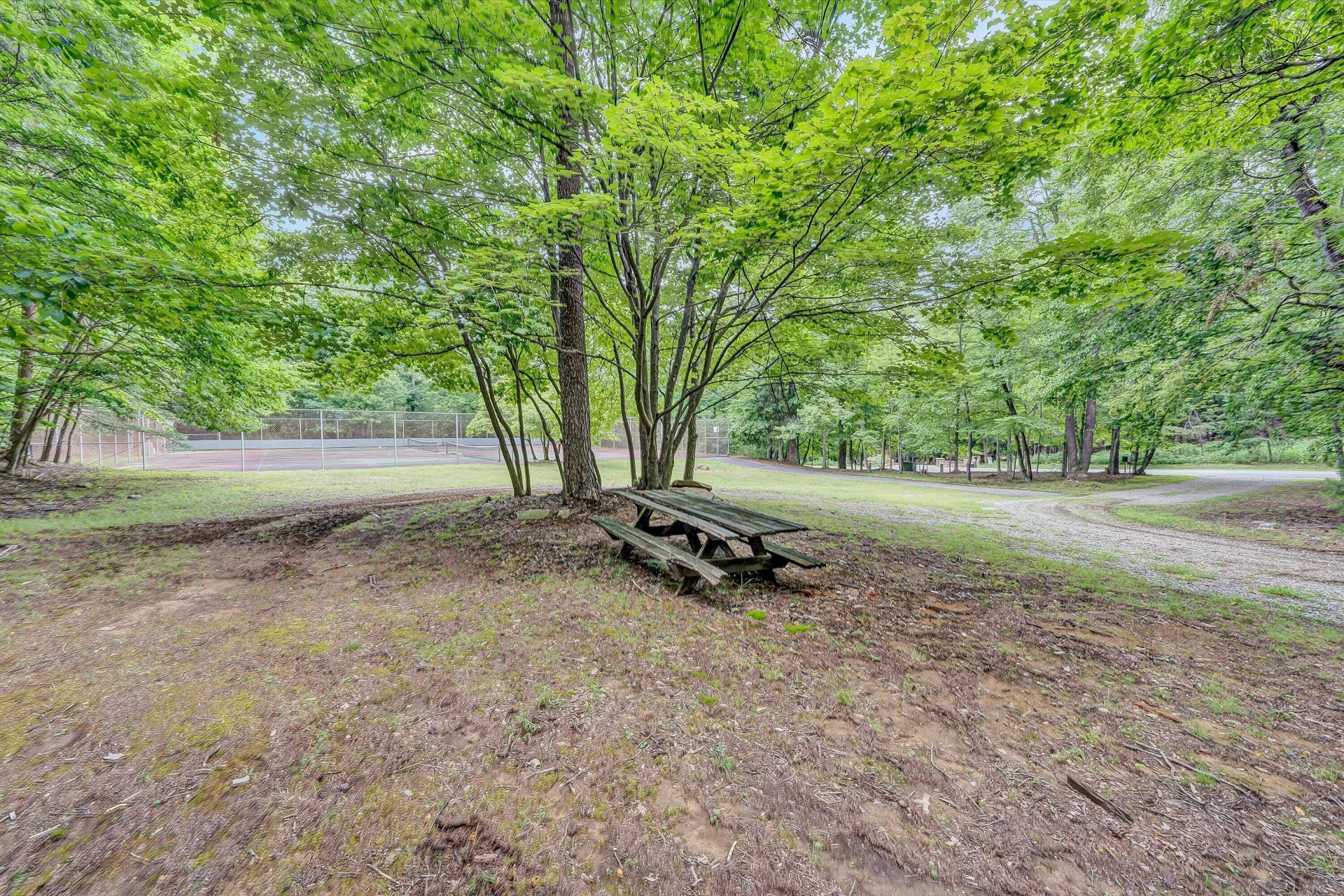 291 Windridge PKWY - Photo 49