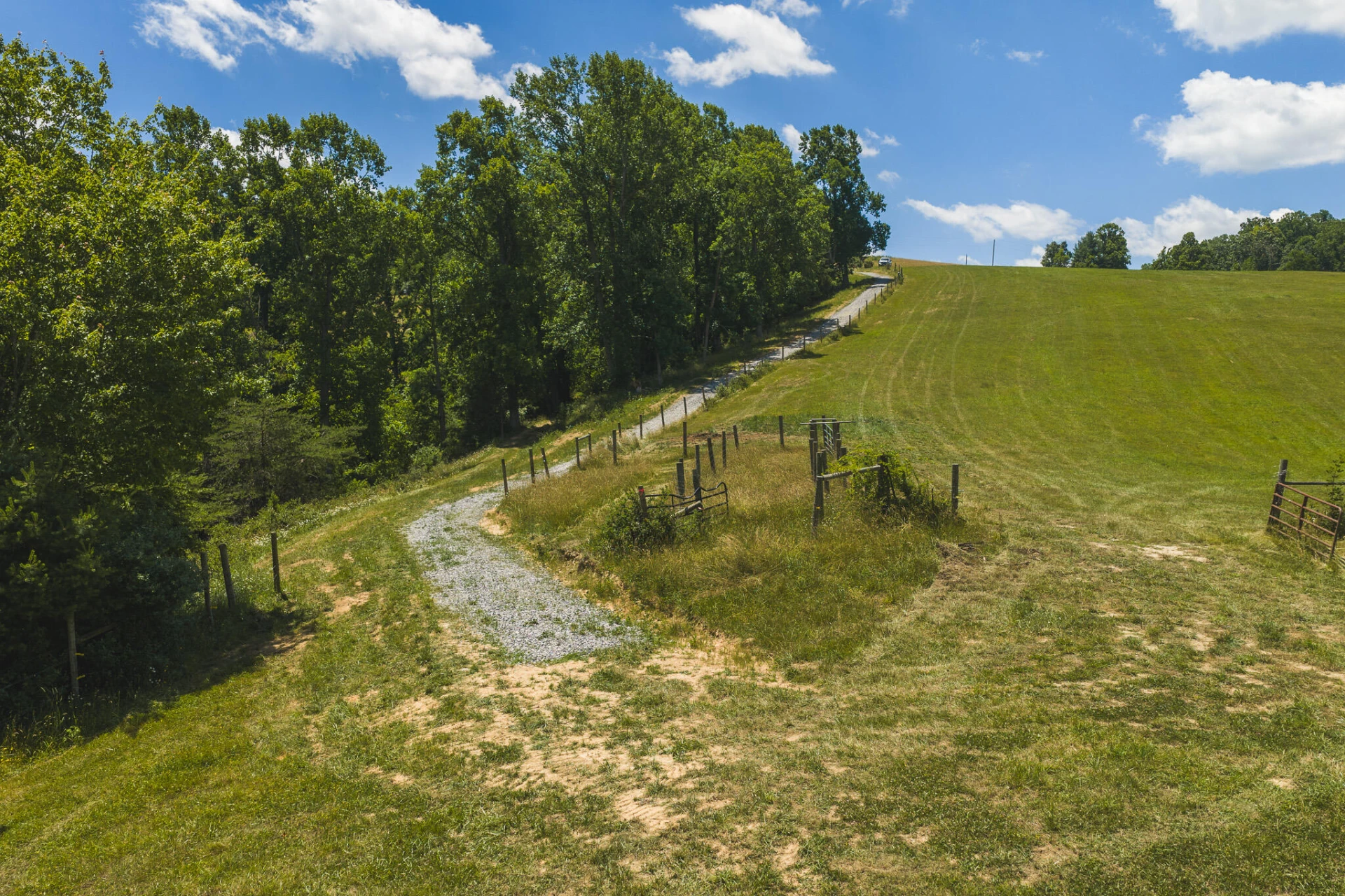 Lot 3 Brush Creek RD - Photo 12