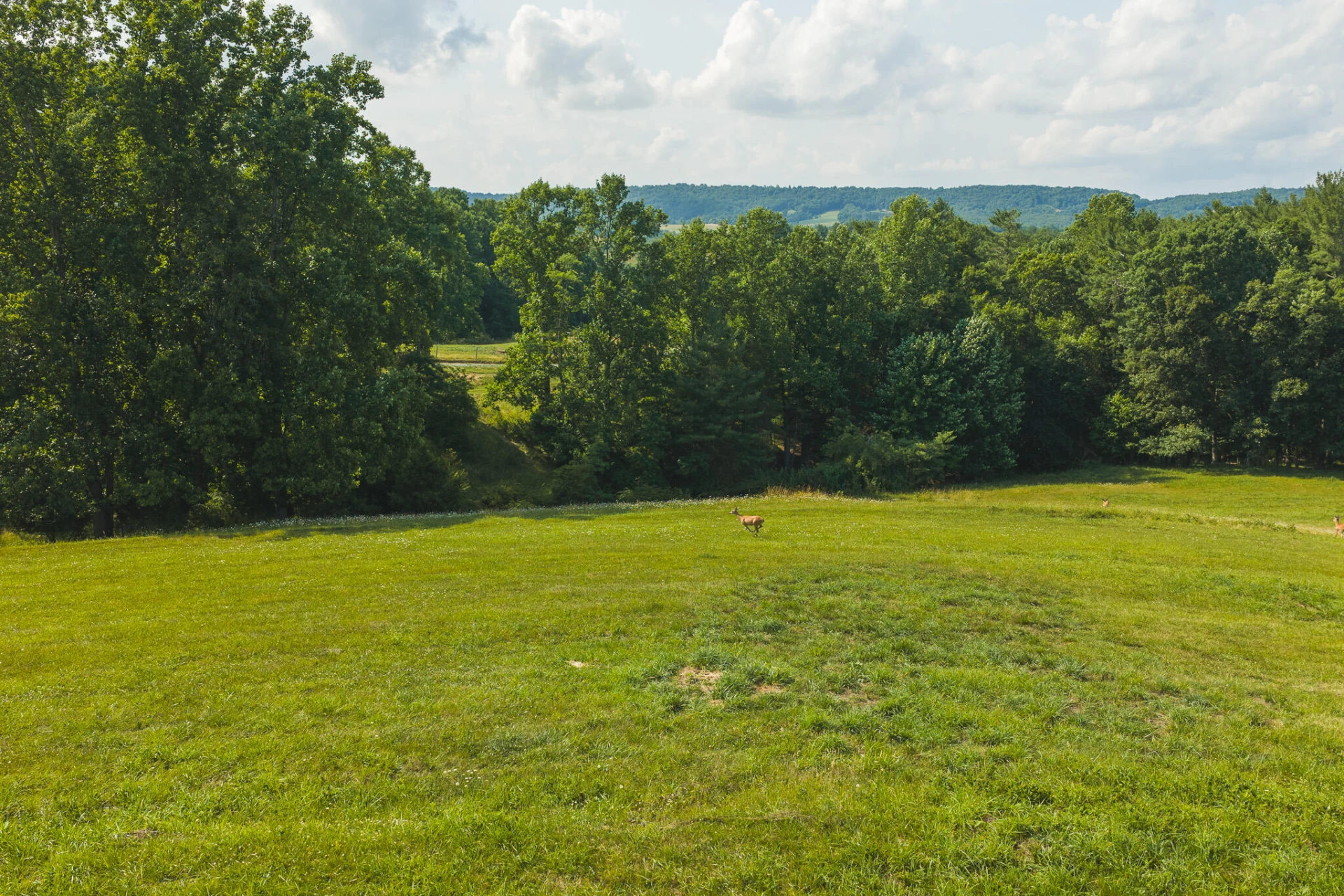 Lot 4 Brush Creek RD - Photo 11