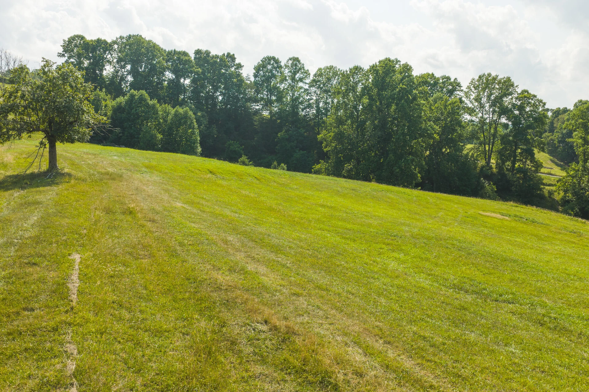 Lot 4 Brush Creek RD - Photo 14