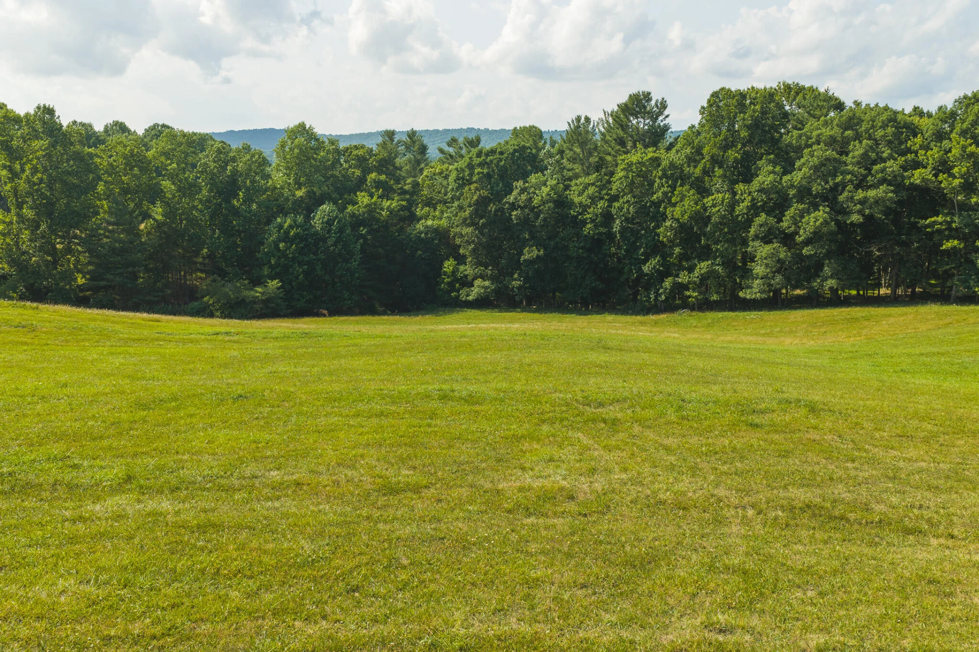 Lot 4 Brush Creek RD - Photo 19