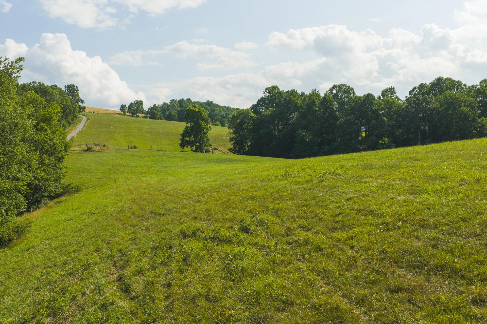 Lot 5 Brush Creek RD - Photo 12