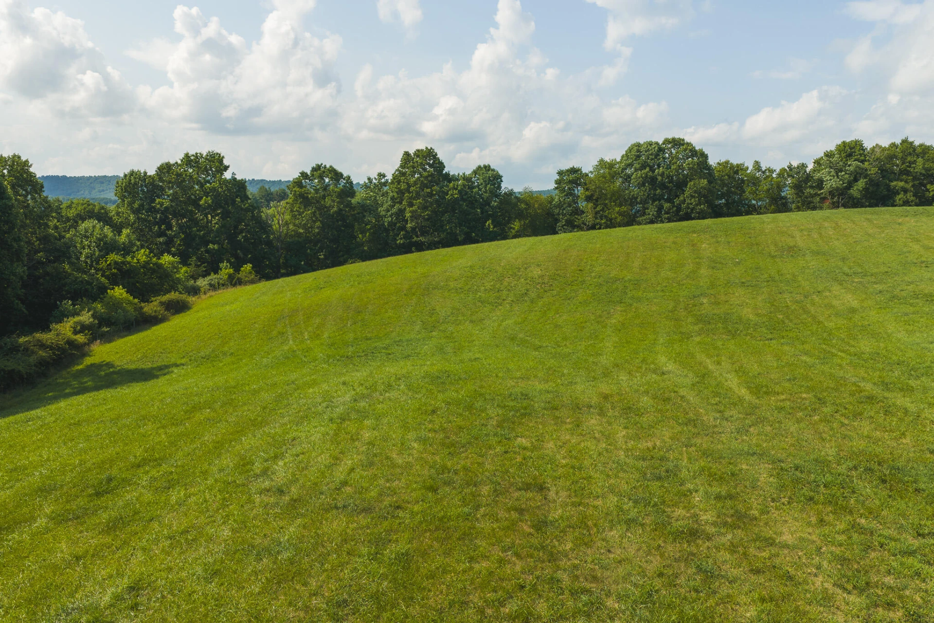 Lot 5 Brush Creek RD - Photo 13