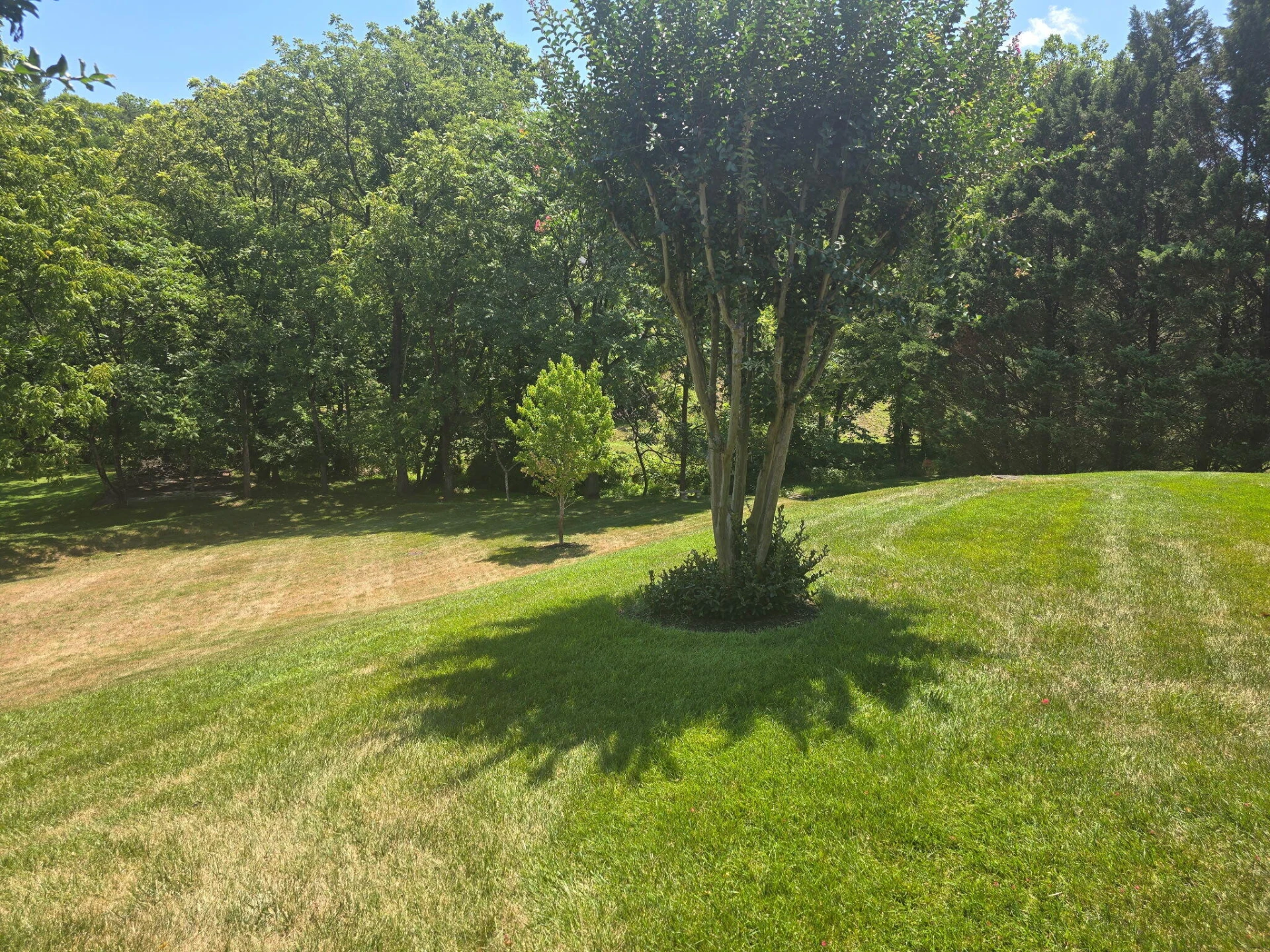 6542 Fairway Estates DR - Photo 45