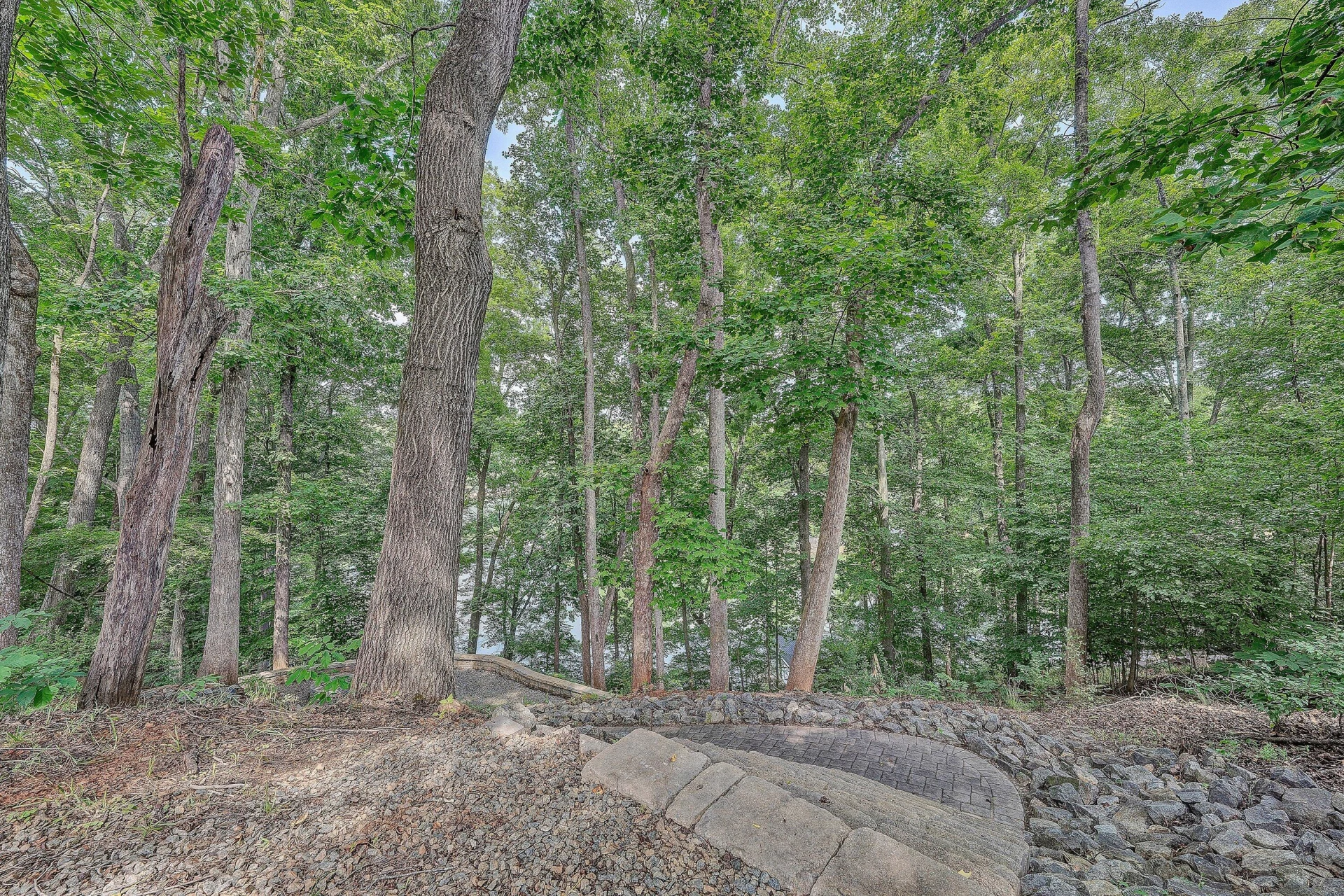 LOT 19 Chestnut Pointe DR - Photo 10