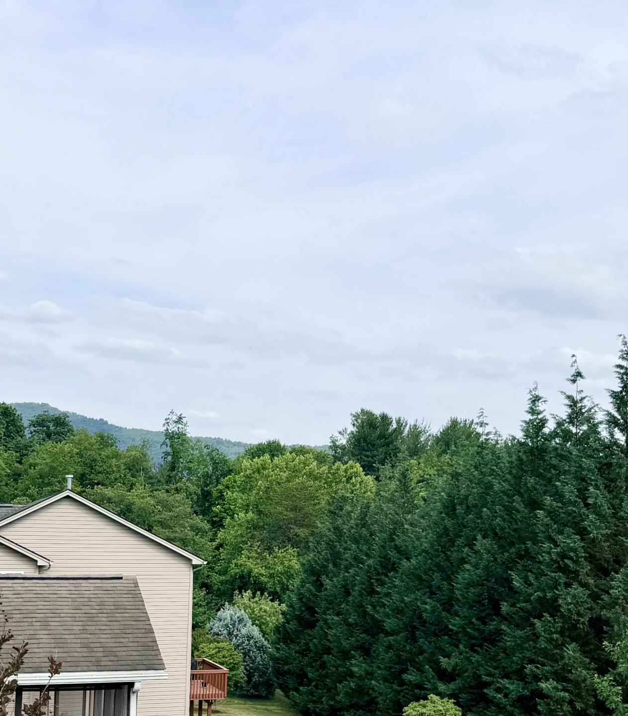 2830 Mystique CT - Photo 19