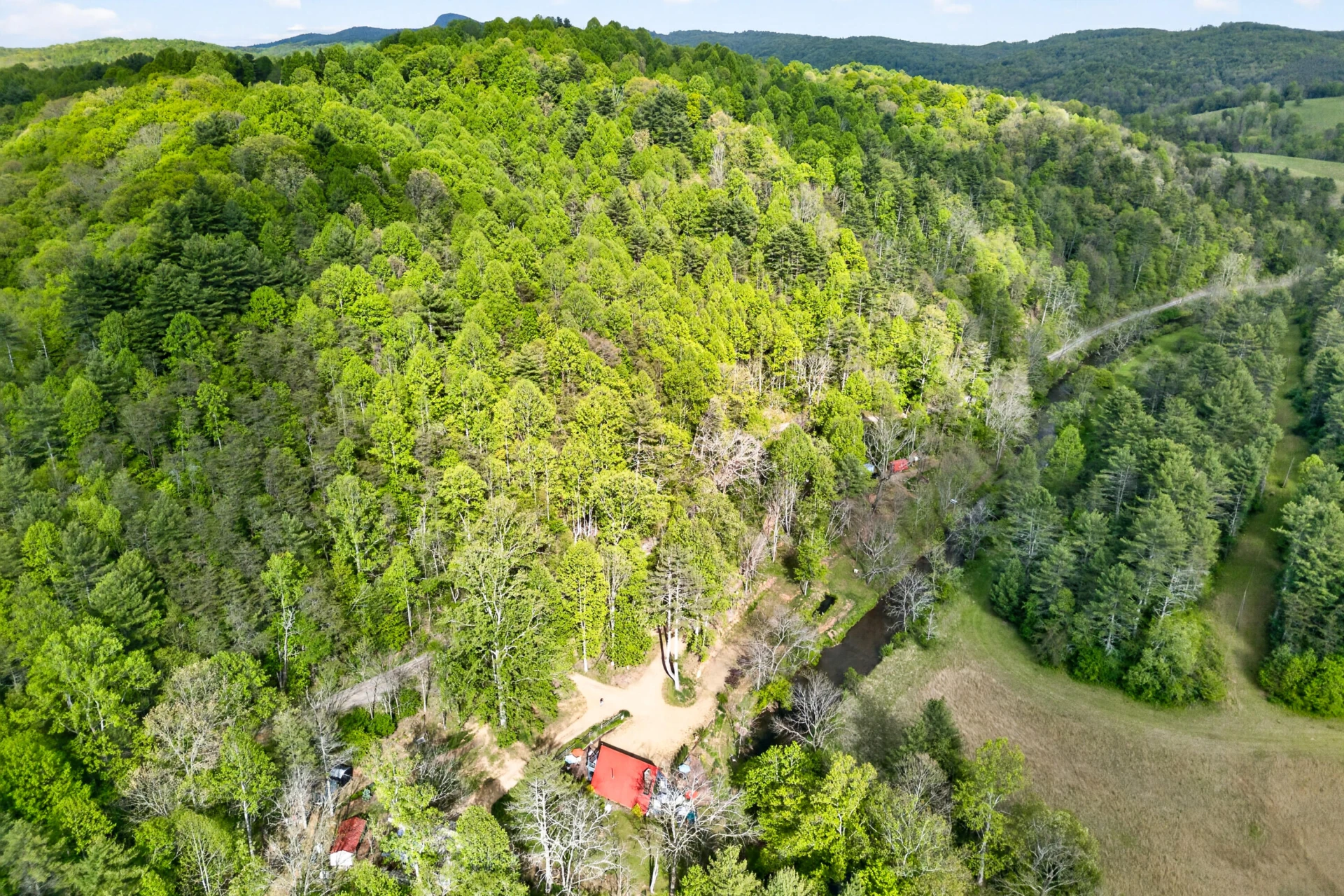 557 Burkes Ford RD #2 - Photo 4