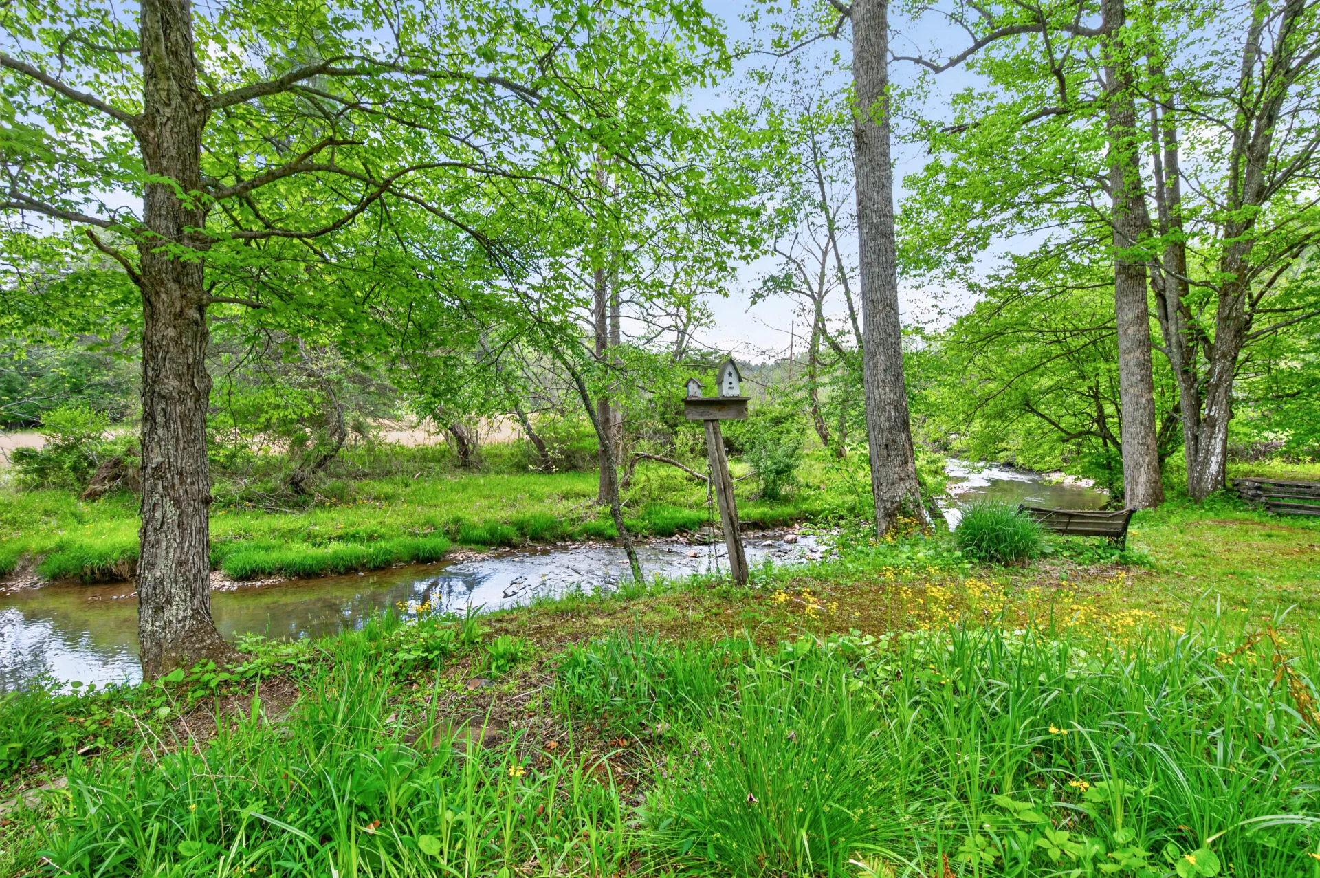 557 Burkes Ford RD #2 - Photo 5
