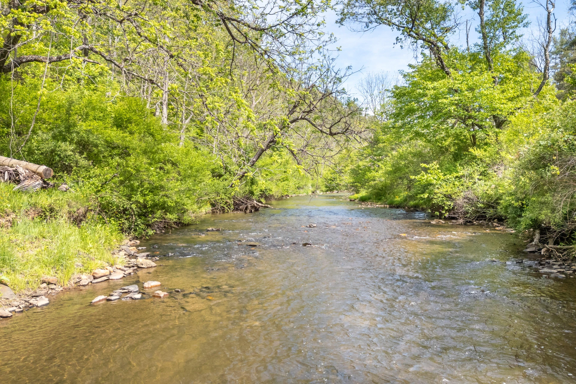 549 Burkes Ford RD - Photo 12