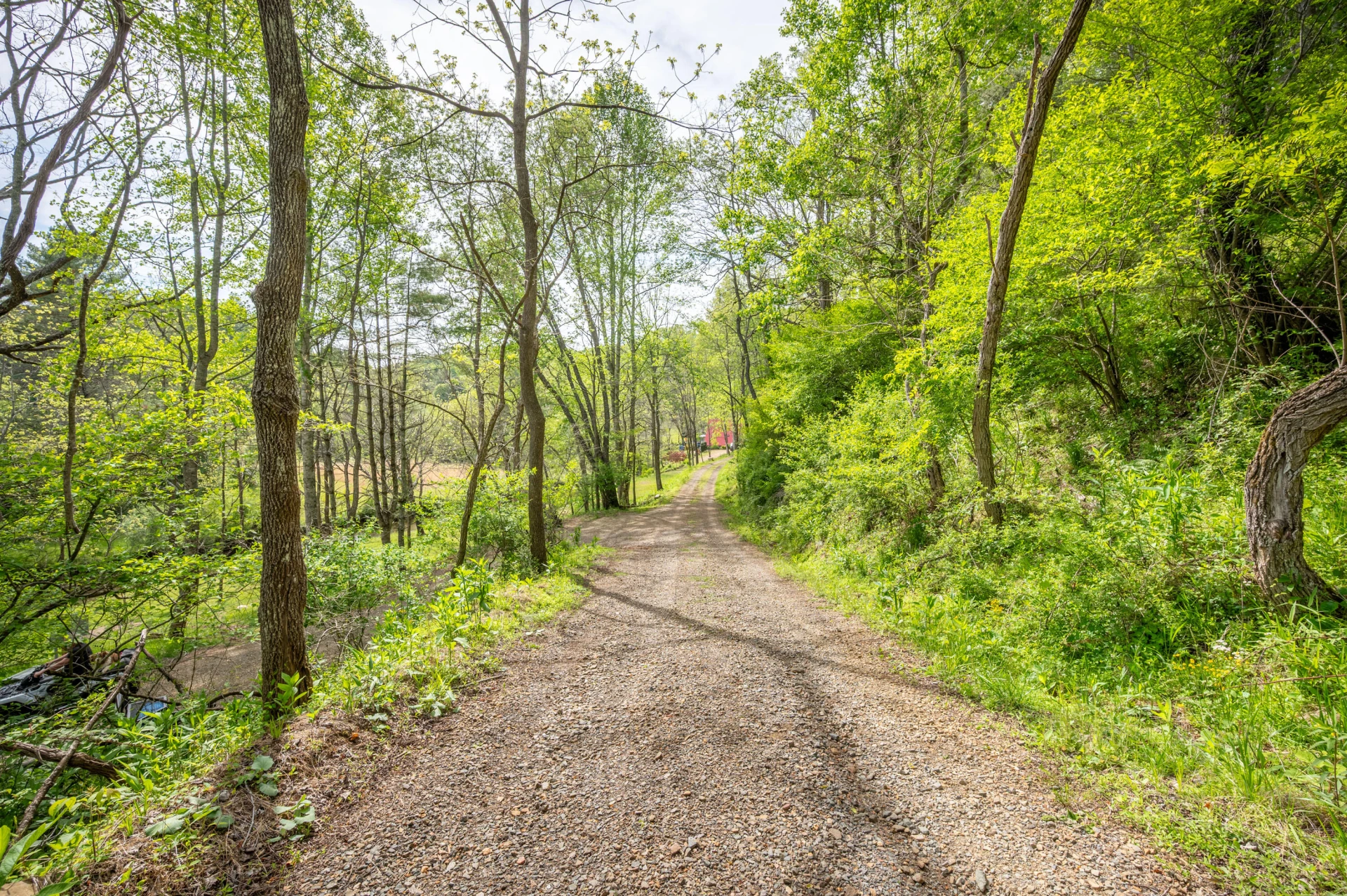 549 Burkes Ford RD - Photo 20