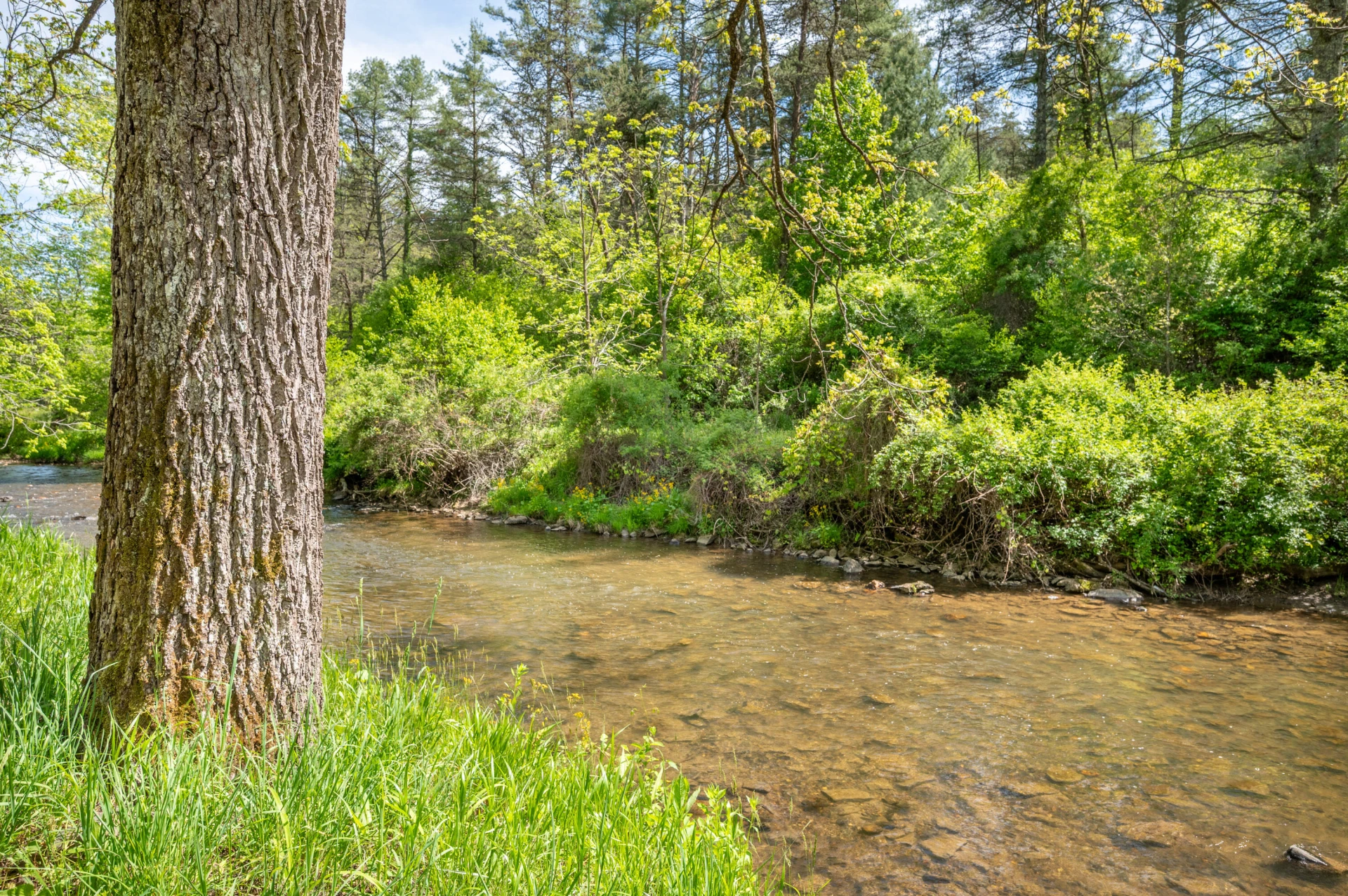 549 Burkes Ford RD - Photo 26