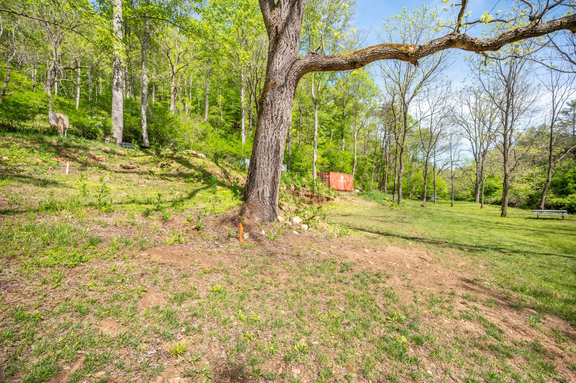 549 Burkes Ford RD - Photo 31