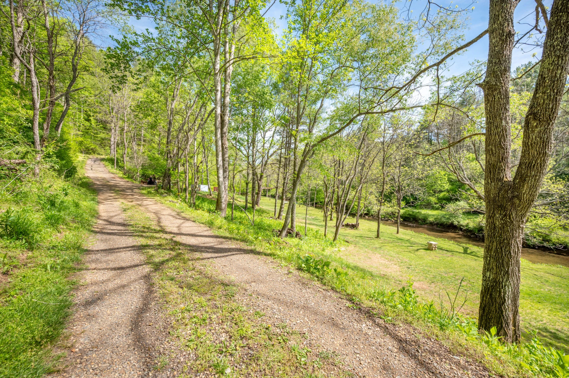 549 Burkes Ford RD - Photo 4