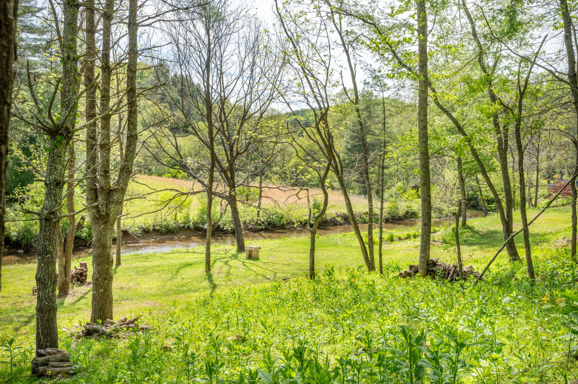 549 Burkes Ford RD - Photo 41