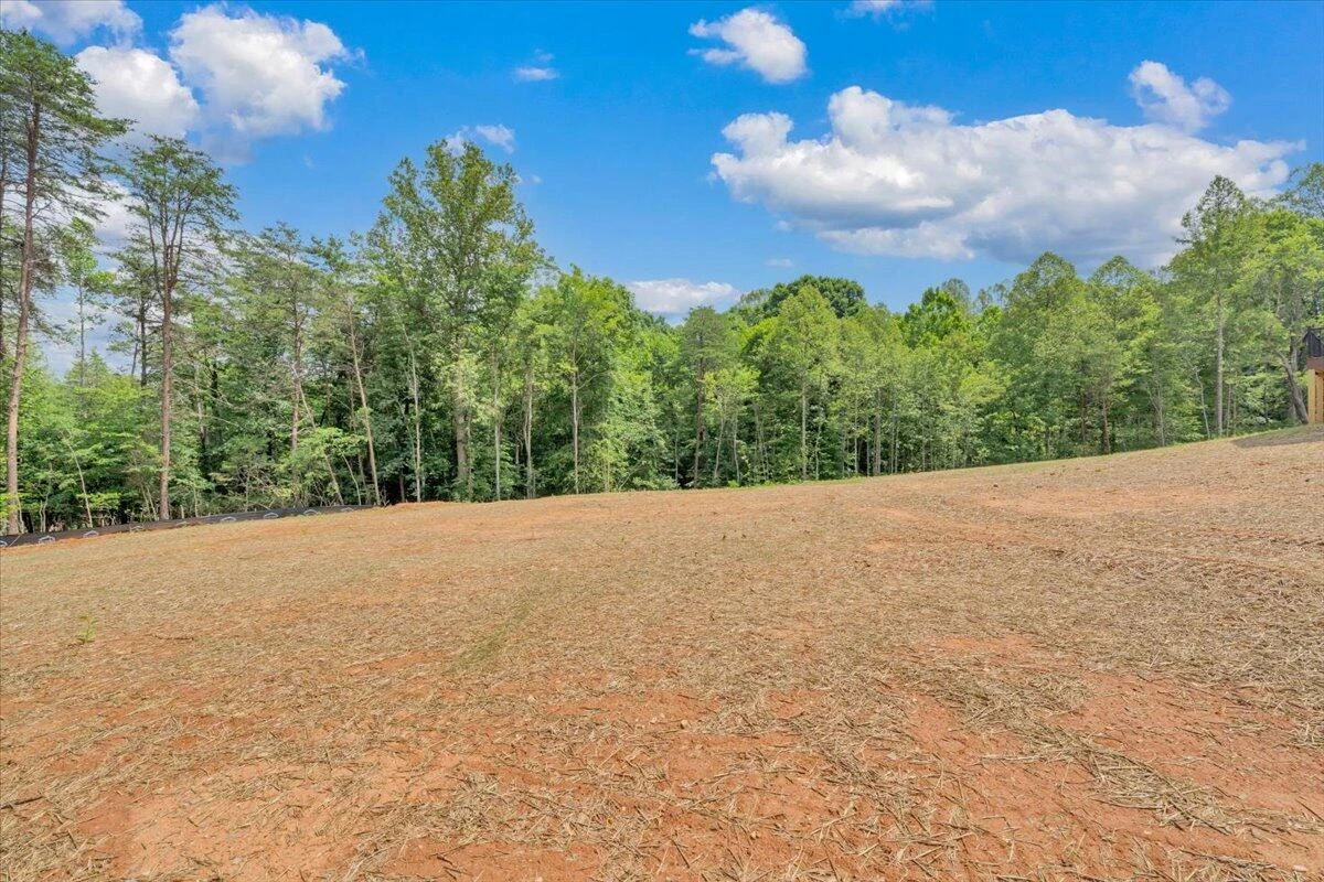 320 Windsor Castle DR - Photo 48