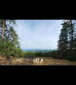 2985 Reese Mountain RD, Elliston, VA, 24087