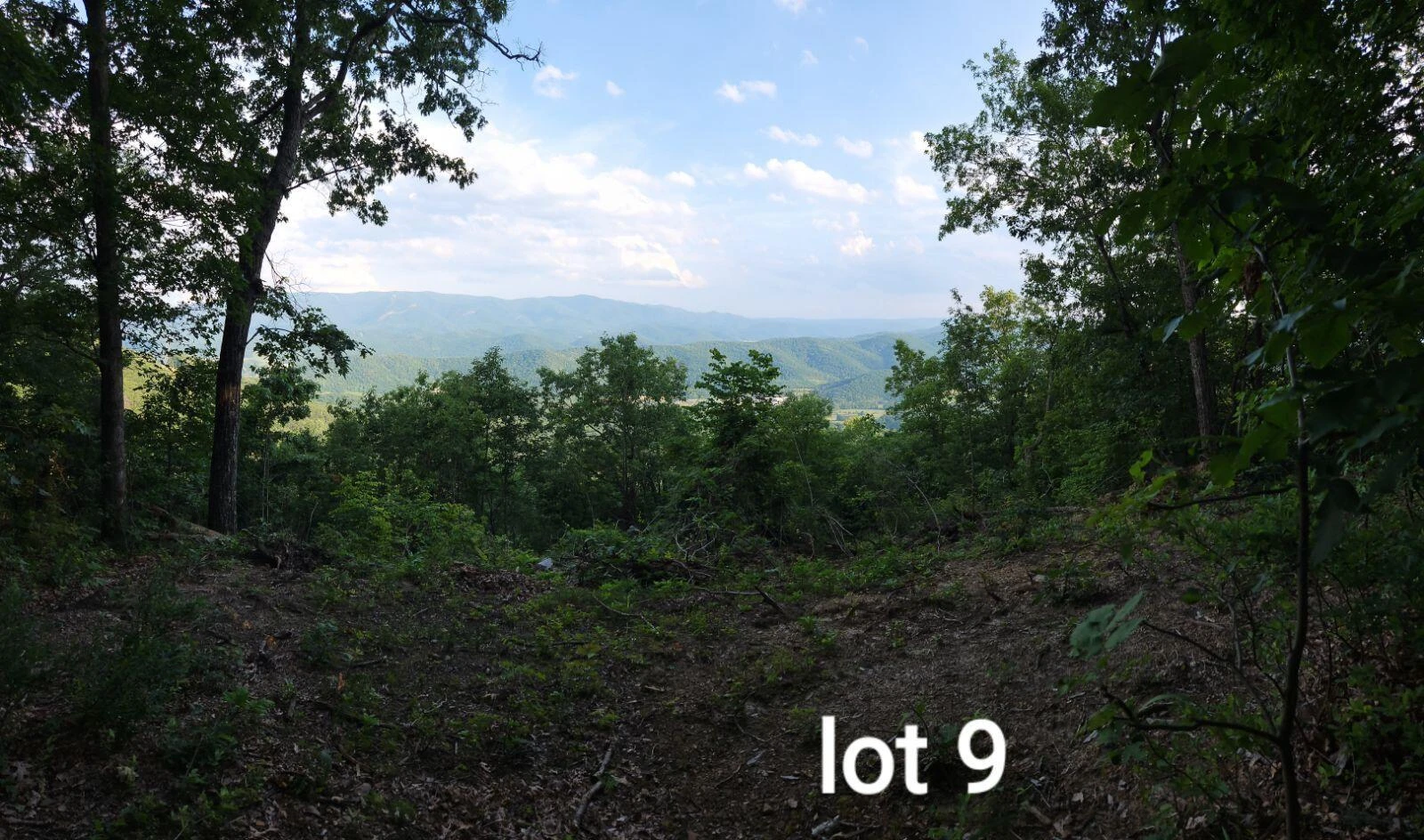 3280 Reese Mountain RD