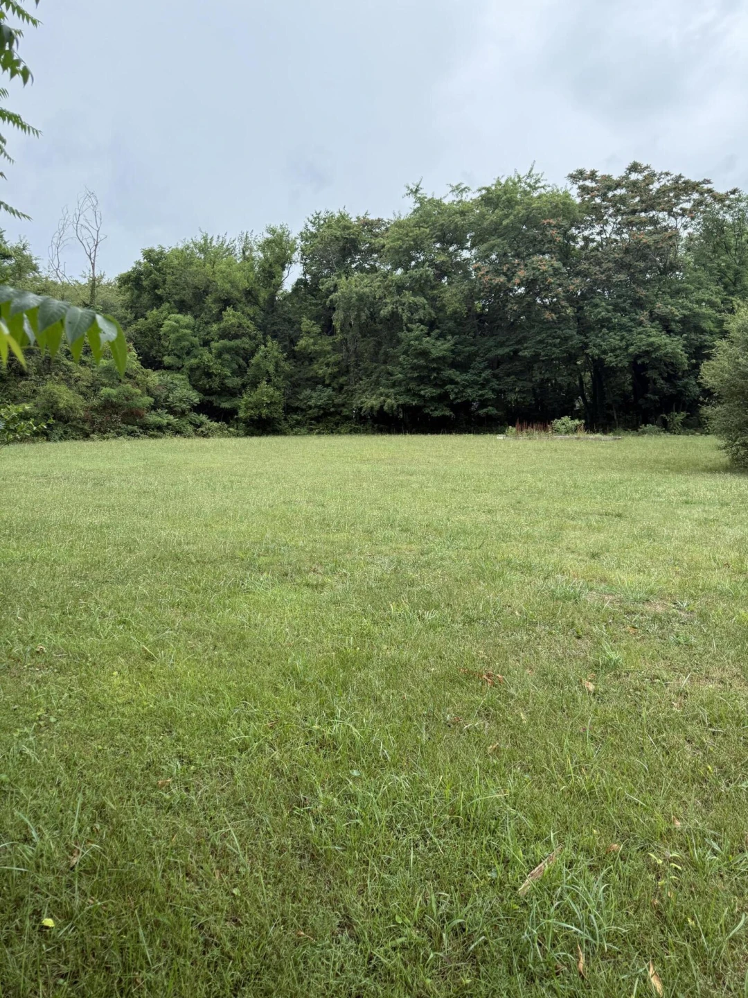 0 Locust Grove LN - Photo 3