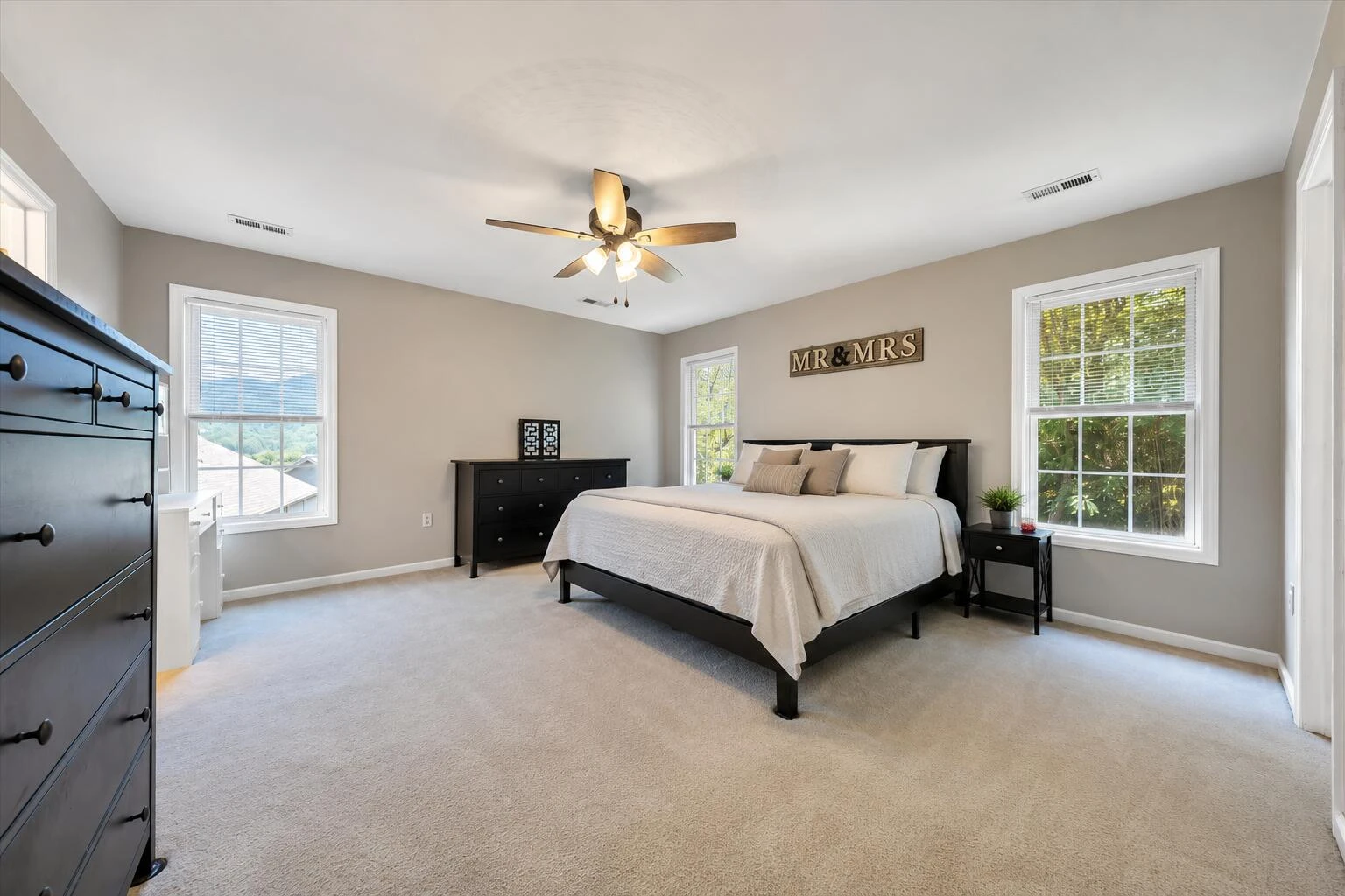 3523 Apricot TRL - Photo 16